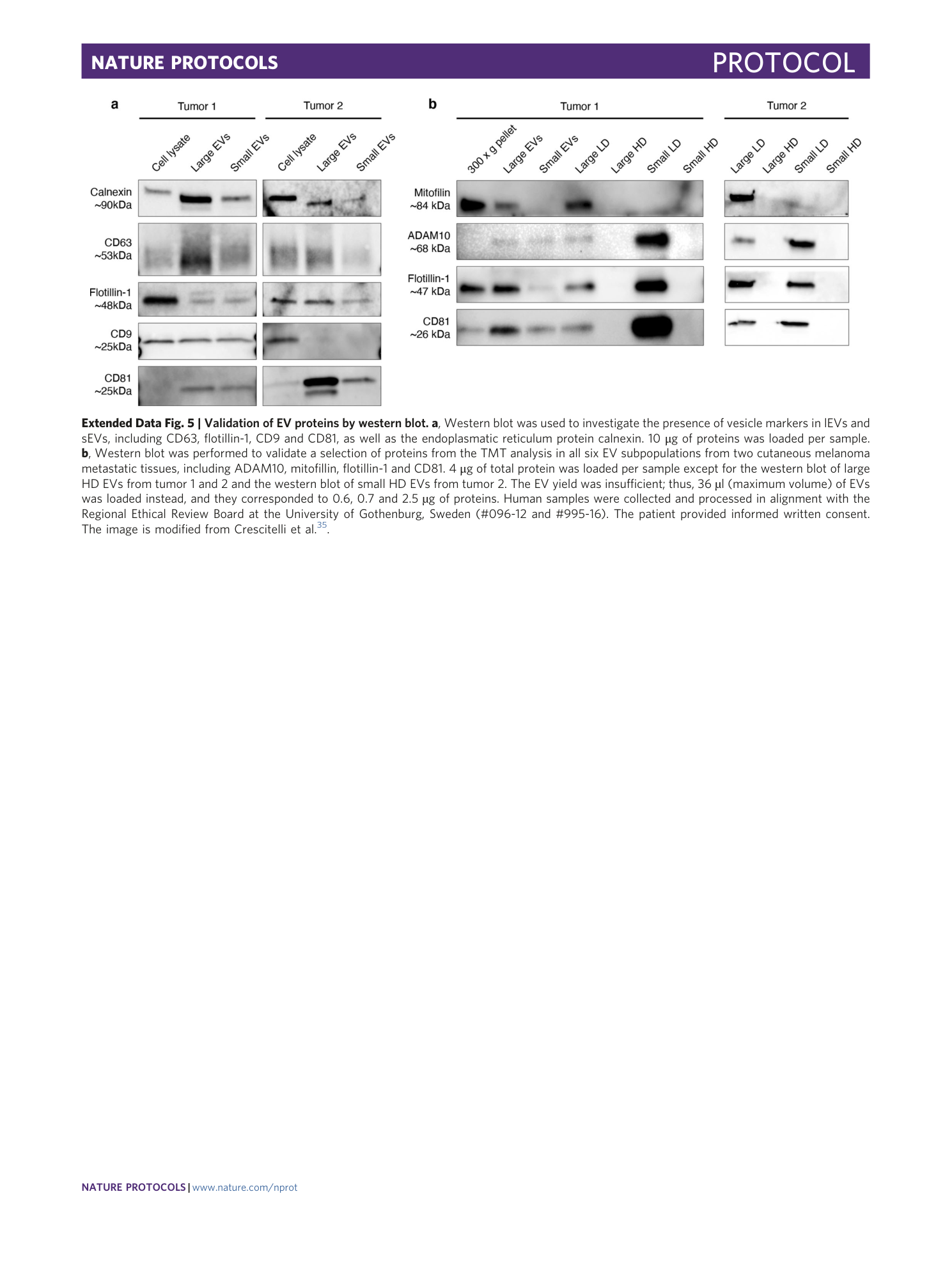 page-38