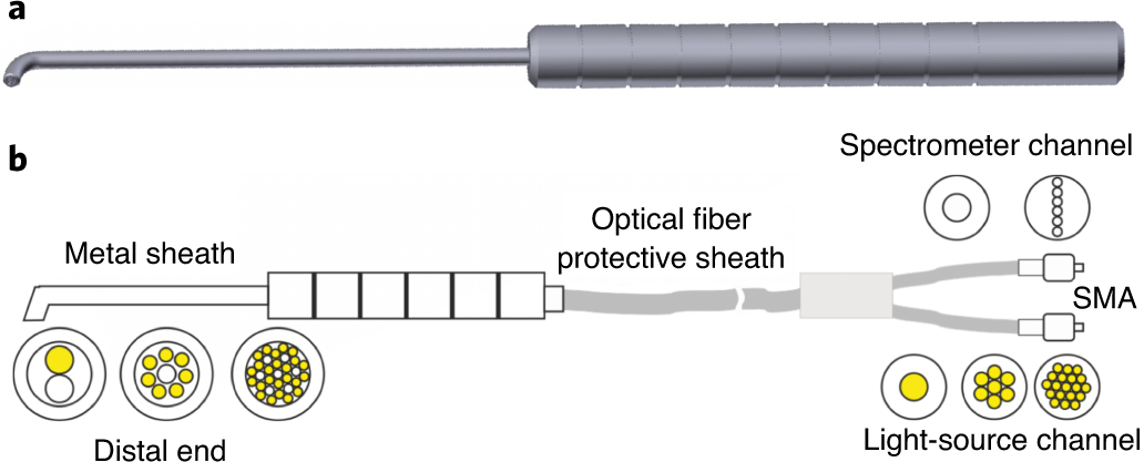 Fig. 4: Near-infrared fiber optic probe.