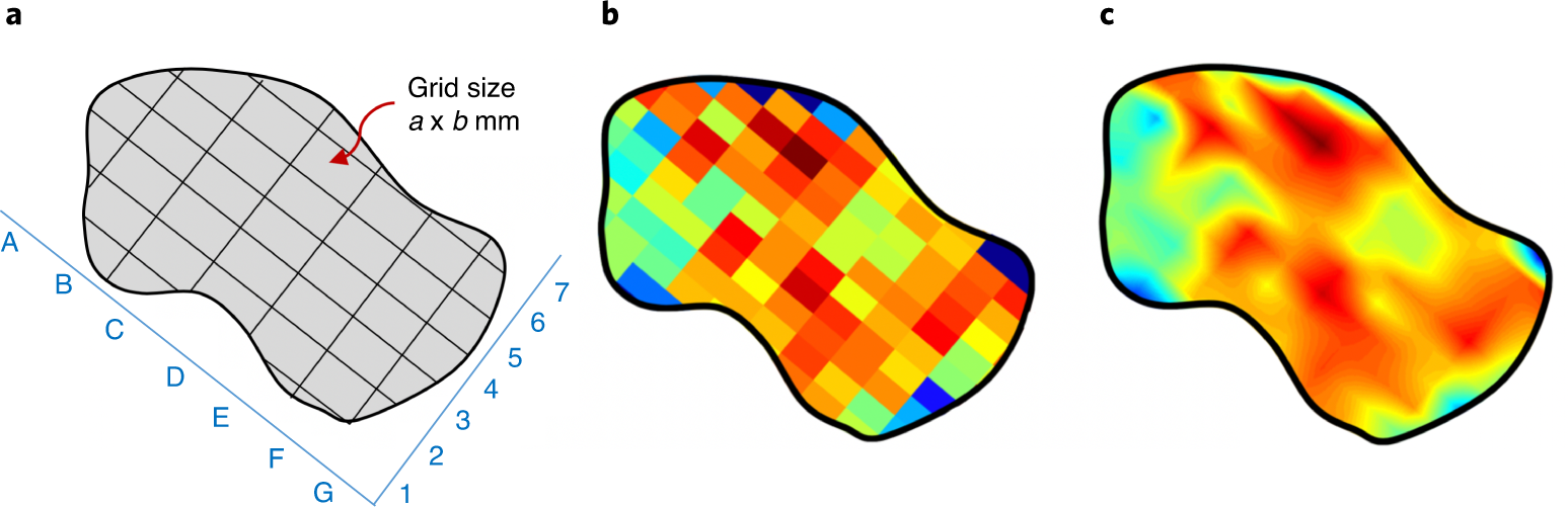 Fig. 5: Diagrammatic illustration of the steps required for NIR spectroscopic mapping of specific target features on the desired tissue area.