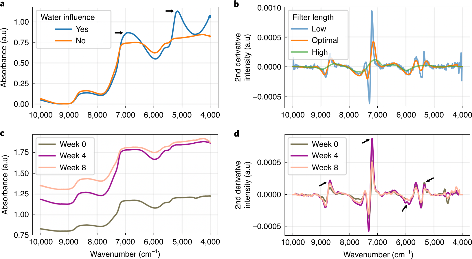 Fig. 7: NIR spectroscopy of tissue-engineered cartilage.
