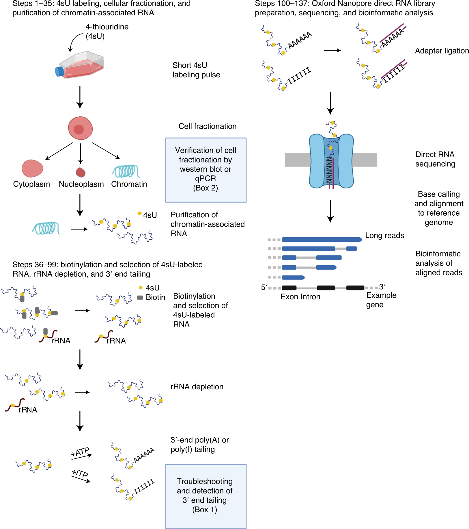 Fig. 1: nano-COP schematic.