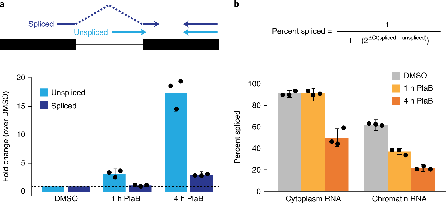Fig. 5: Representative RT-qPCR plots of RNA purified by cellular fractionation with varying incubation times in the presence of the splicing inhibitor pladienolide B (PlaB).