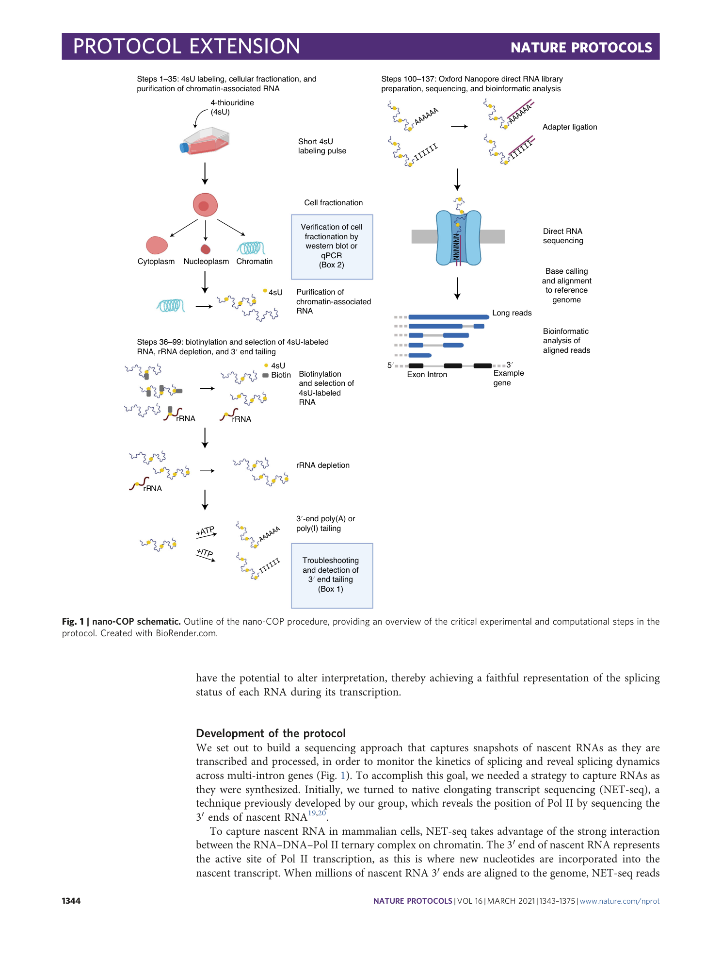 page-2