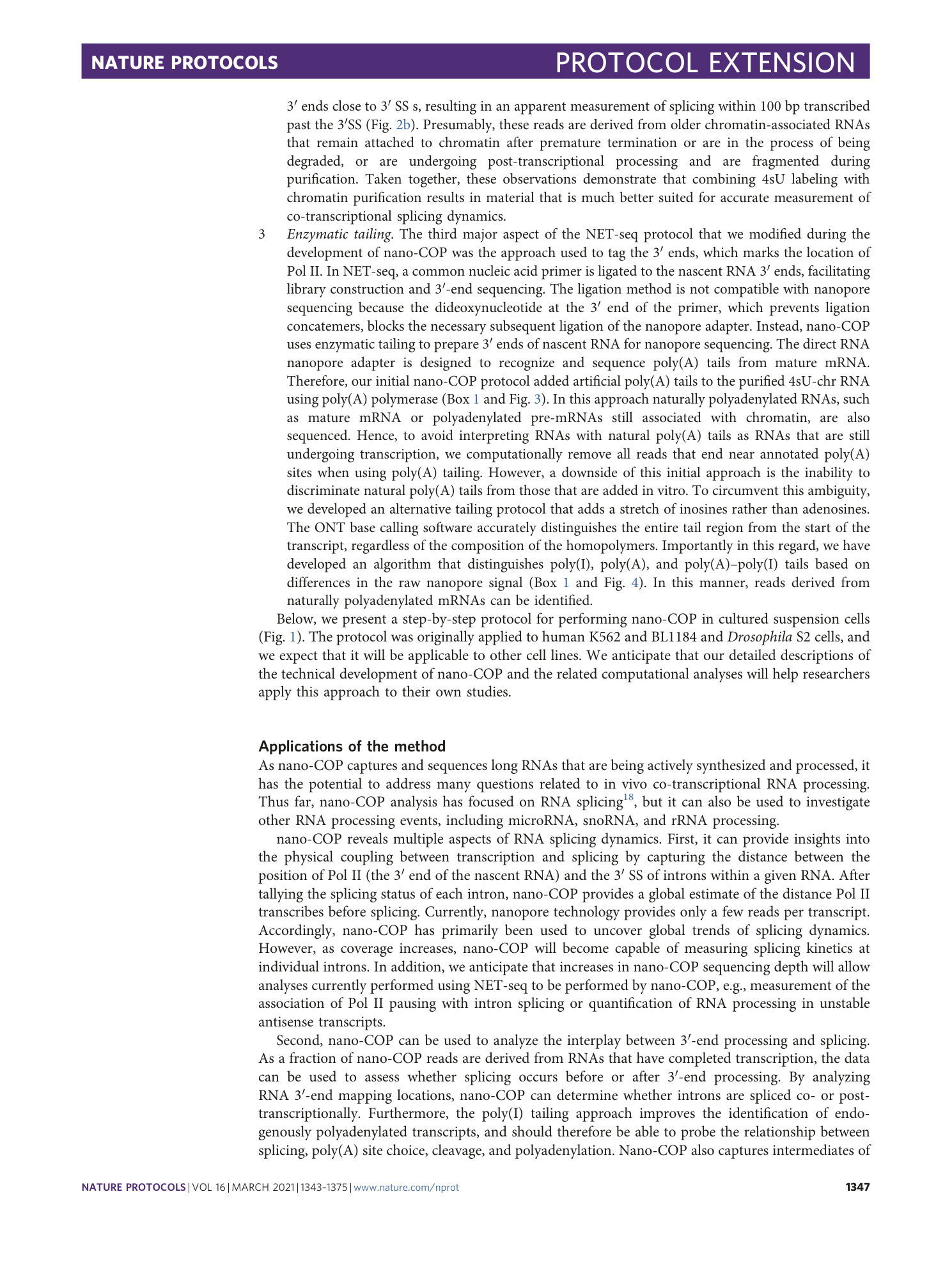page-5