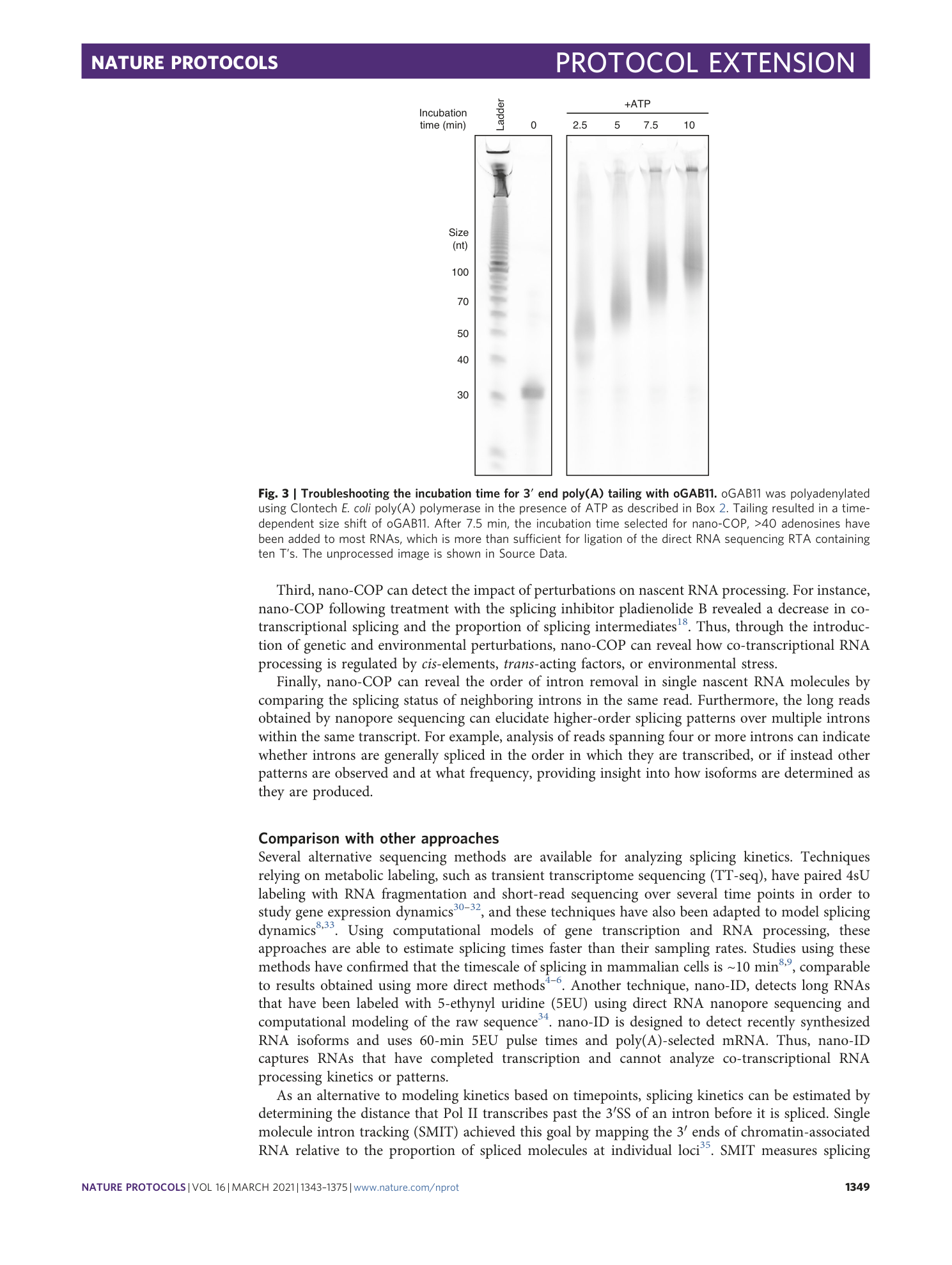 page-7