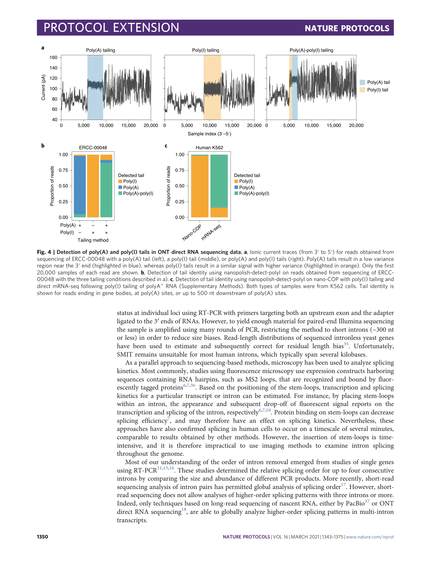 page-8