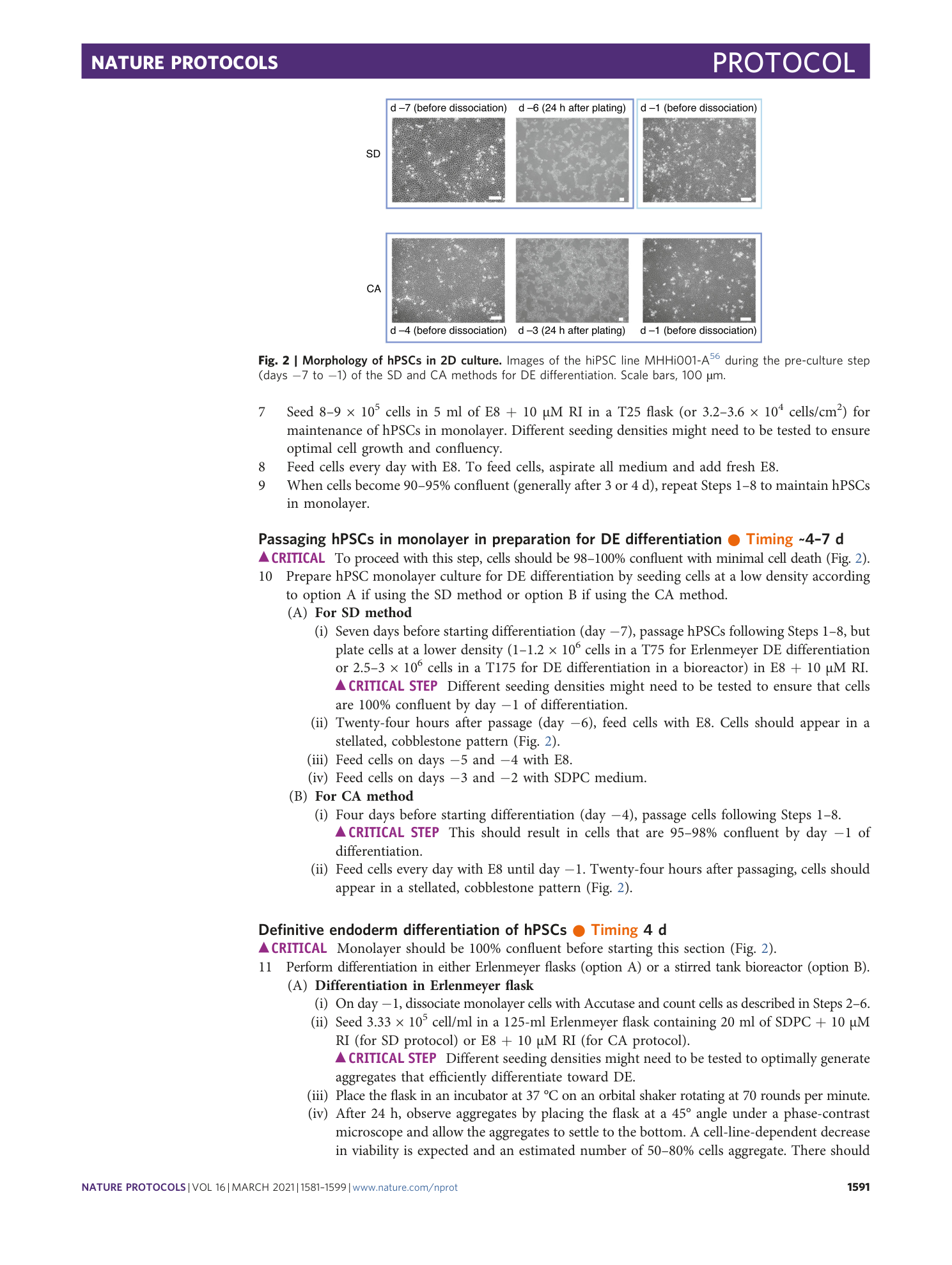 page-11