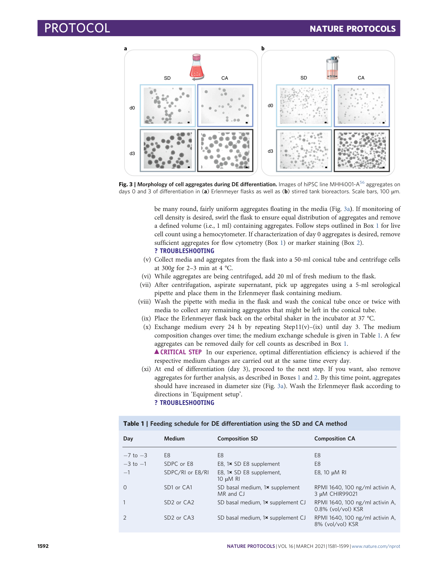 page-12