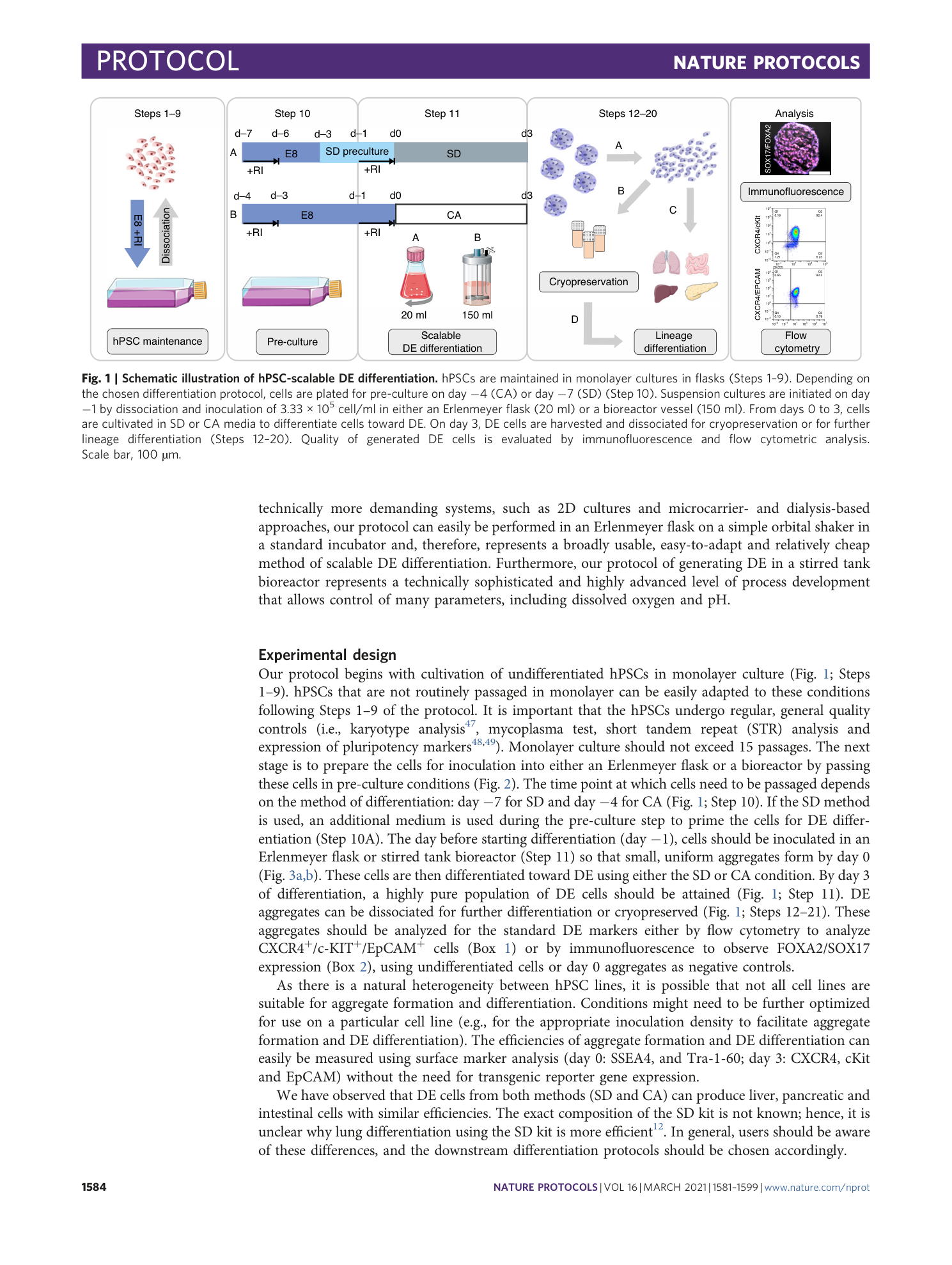page-4