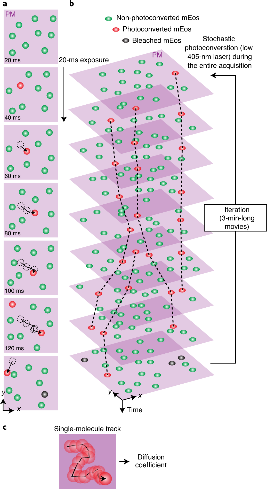 Fig. 1: Schematic representation of sptPALM.