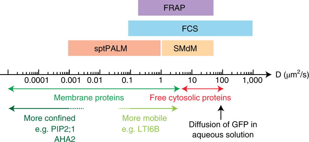 Fig. 2: Comparison of the typical dynamic range of FRAP, FCS, sptPALM and SMdM.