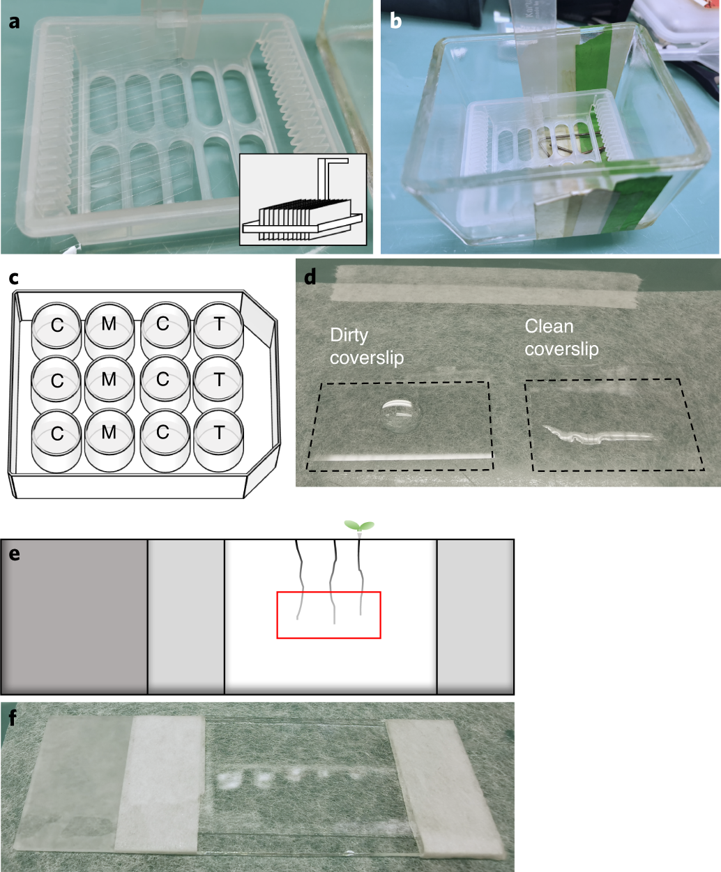 Fig. 3: Coverslip cleaning and sample preparation.