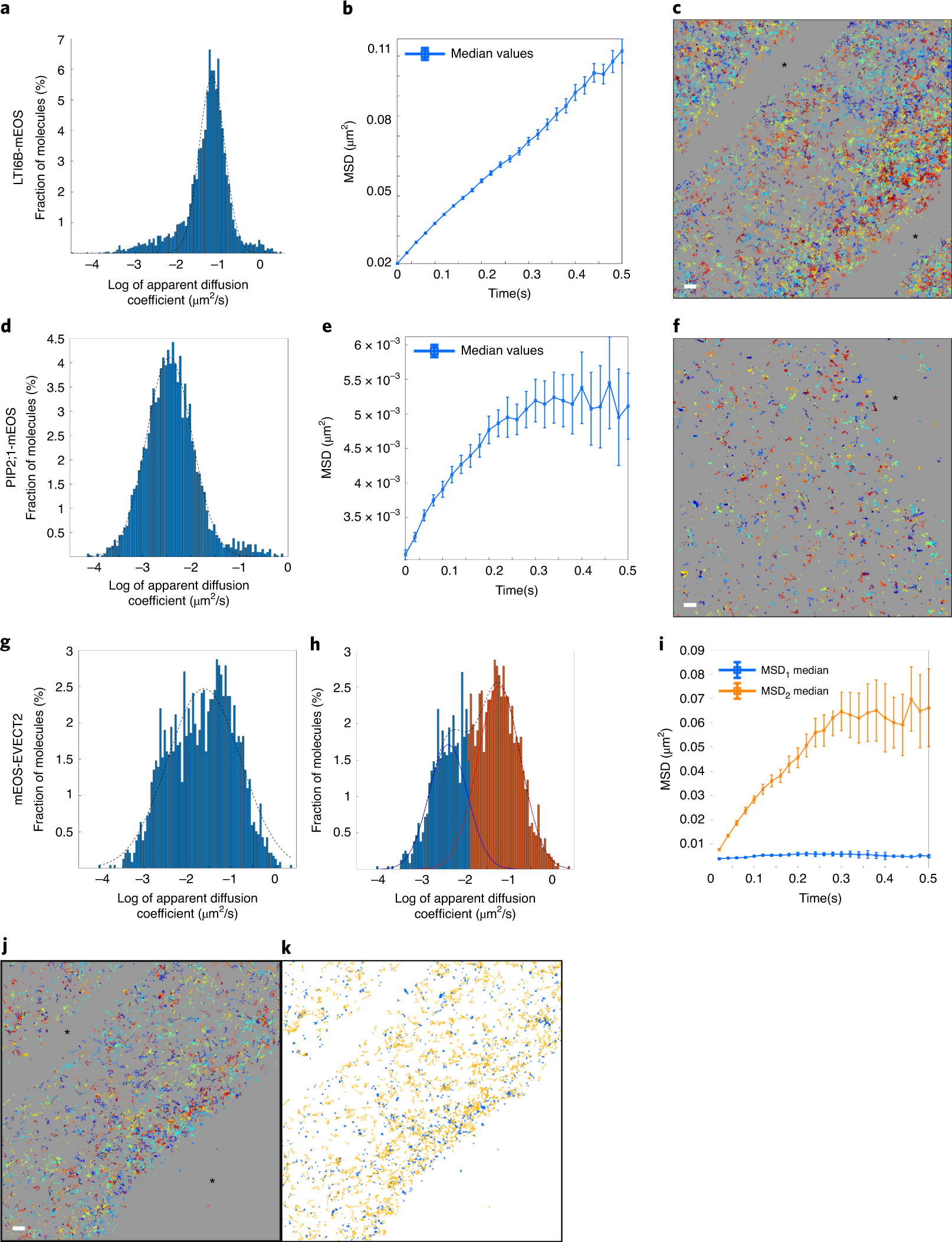 Fig. 7: MSD and diffusion results from the sptPALM_viewer.