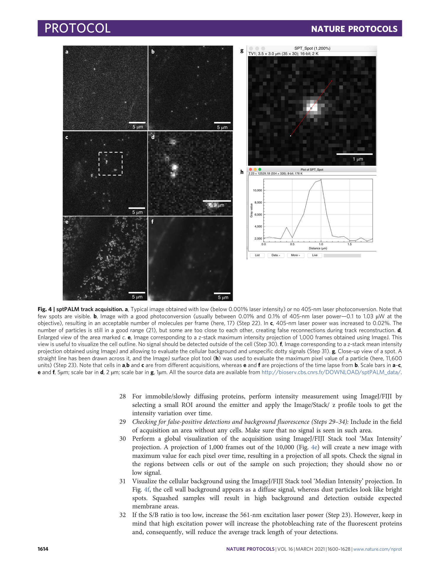 page-15