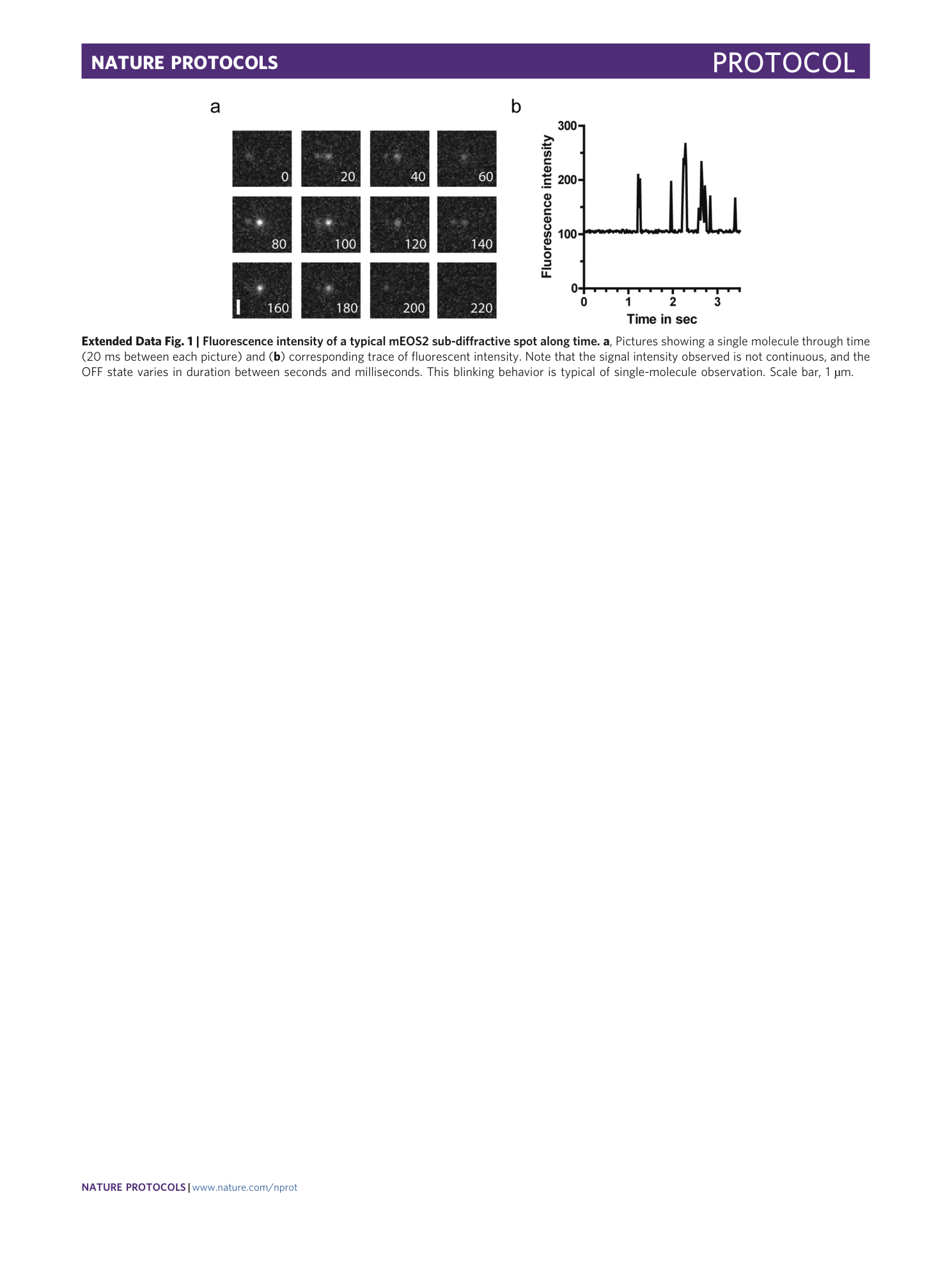 page-30