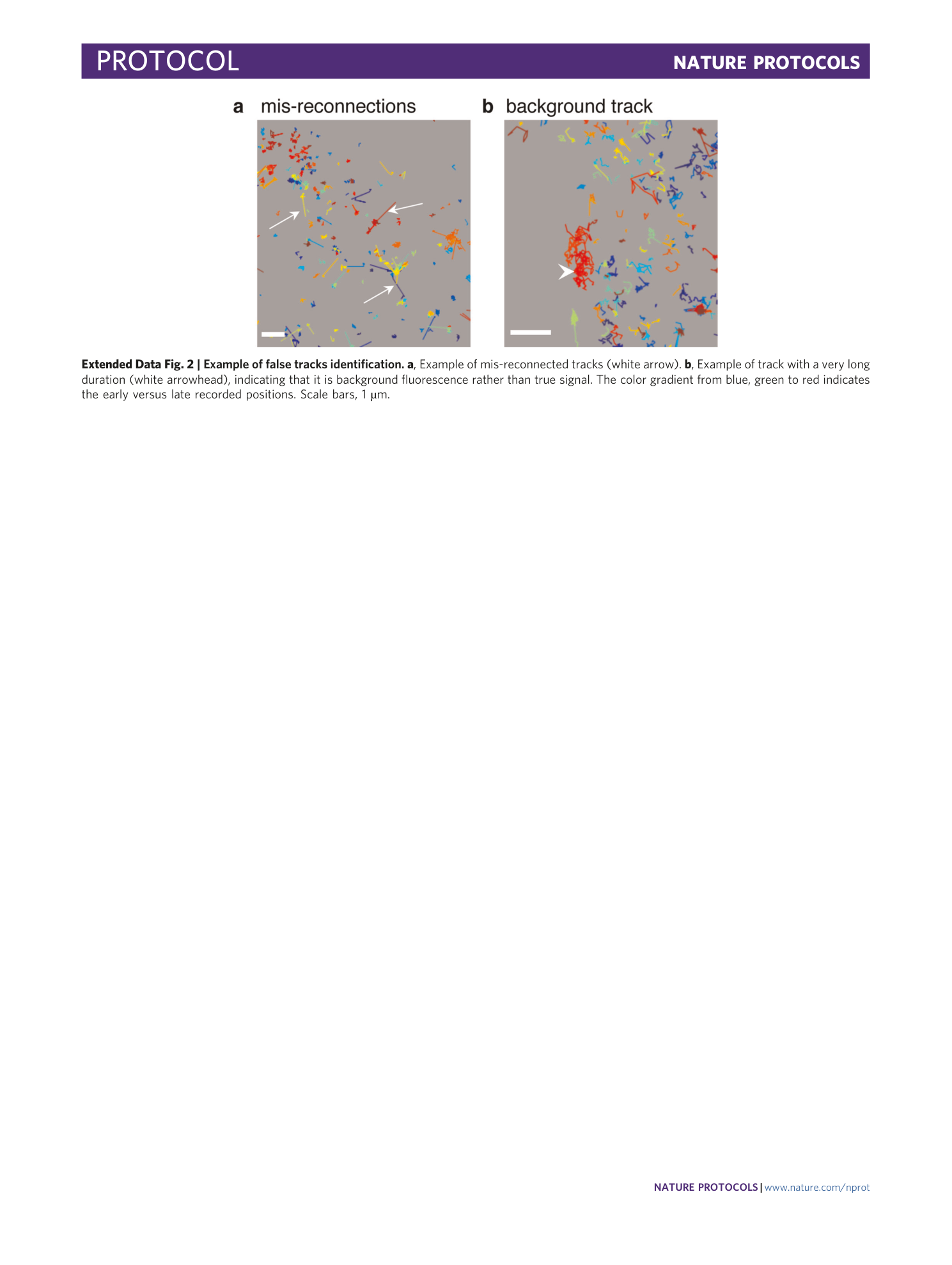 page-31