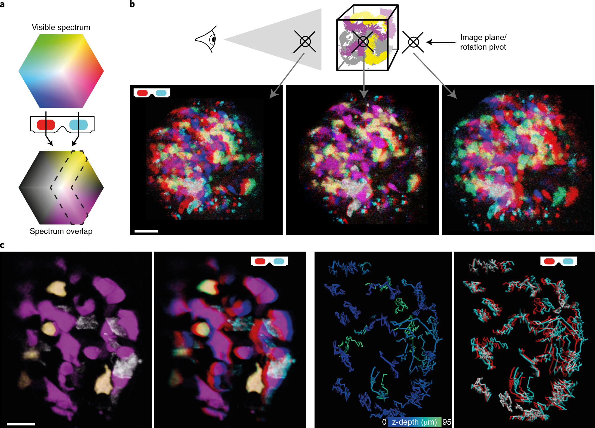 Fig. 4: Cyan/red stereo 3D visualization.