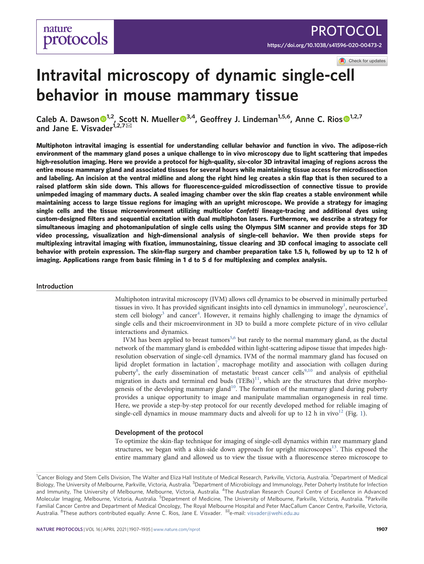 page-1