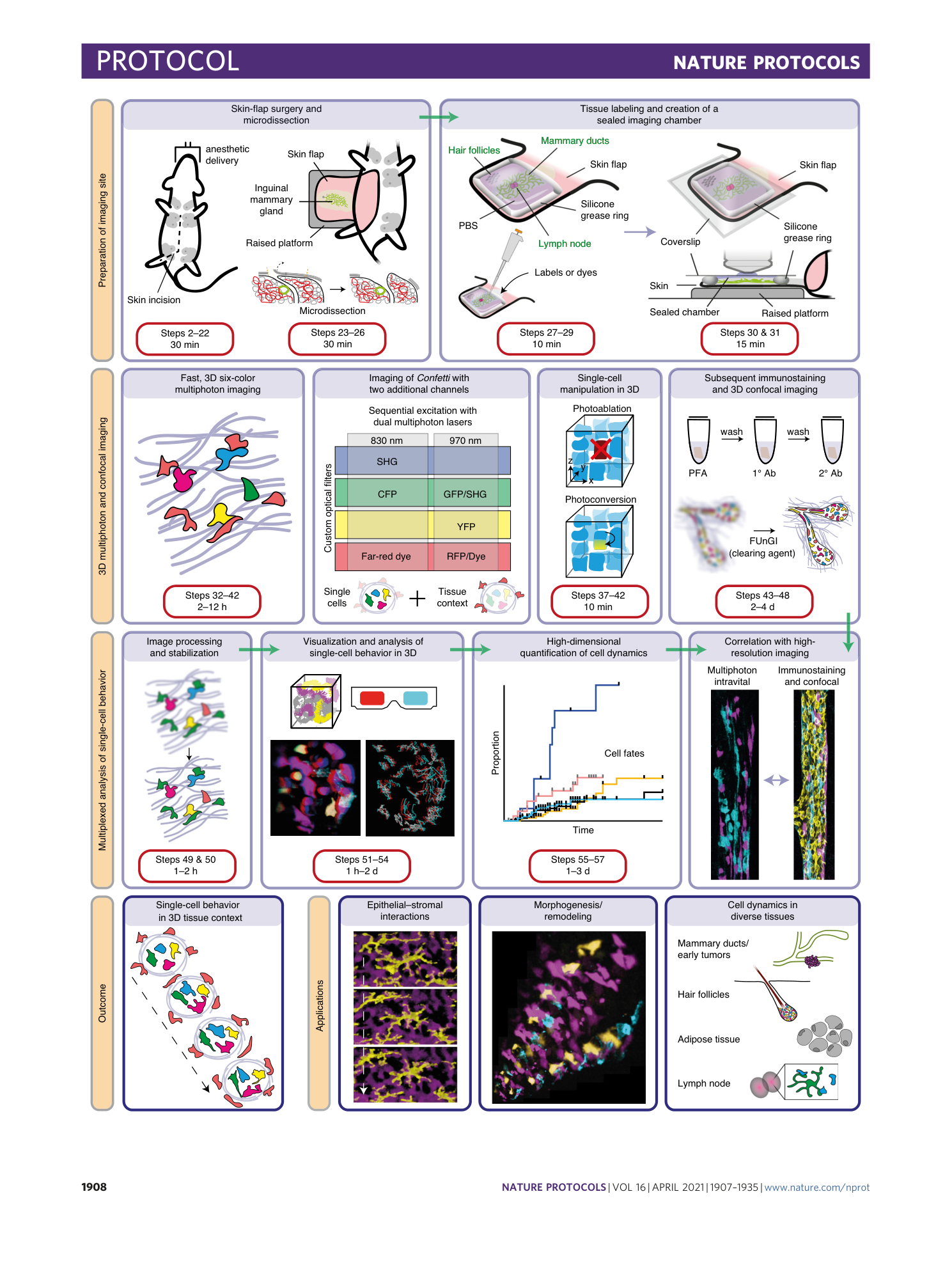 page-2