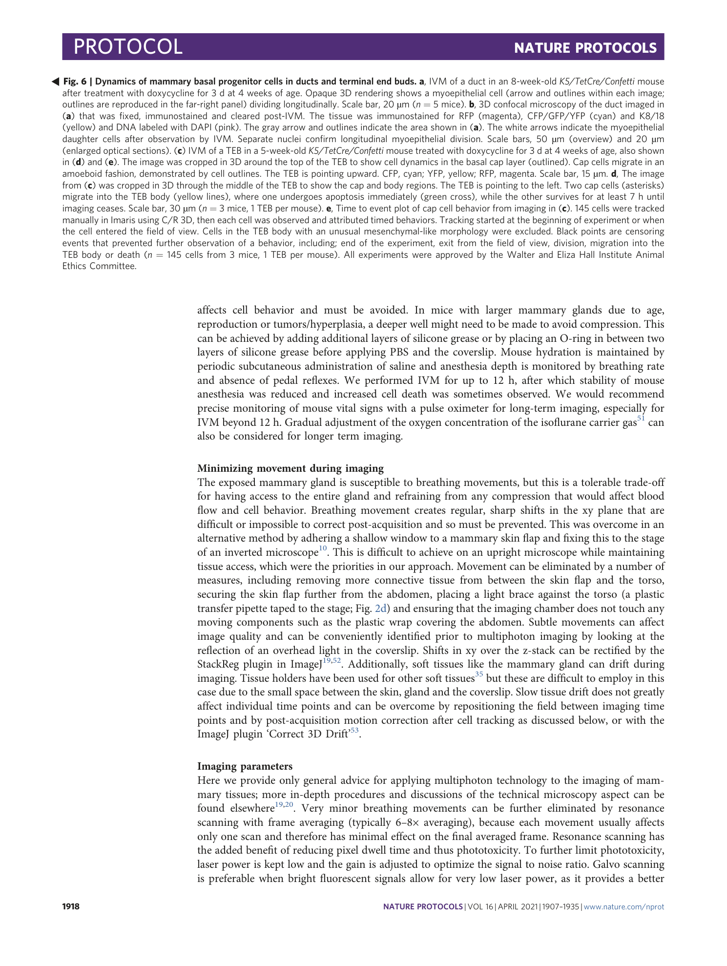 page-12