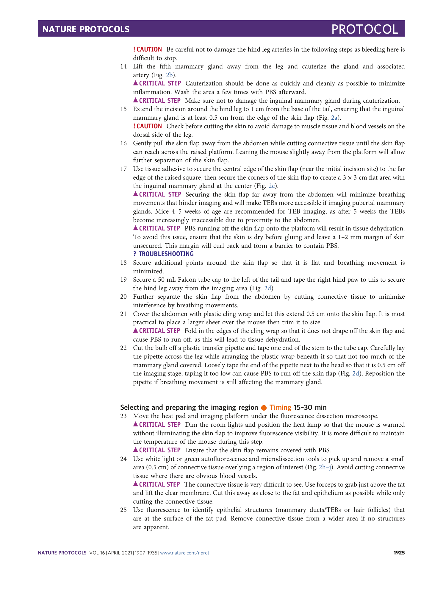 page-19