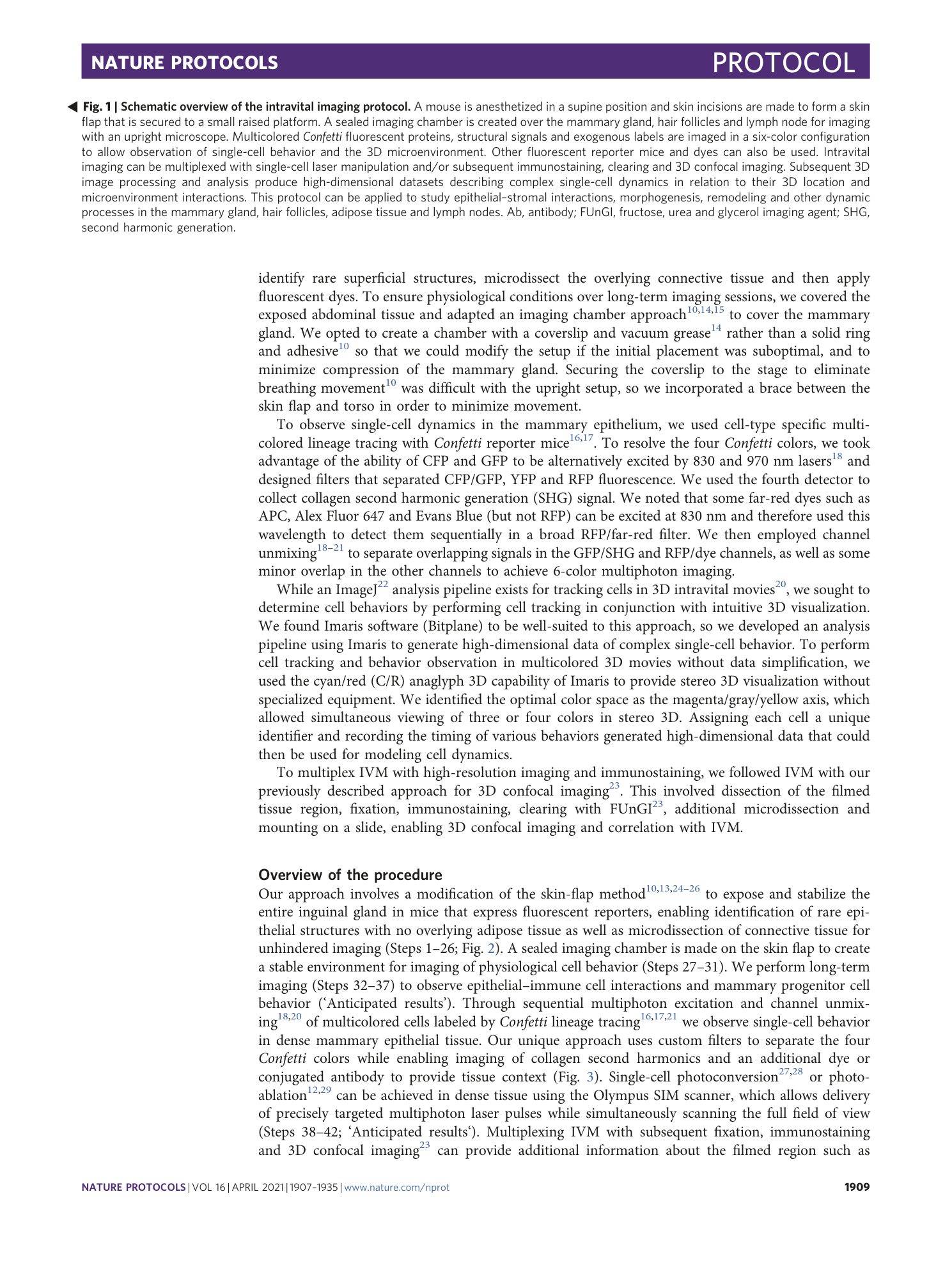 page-3
