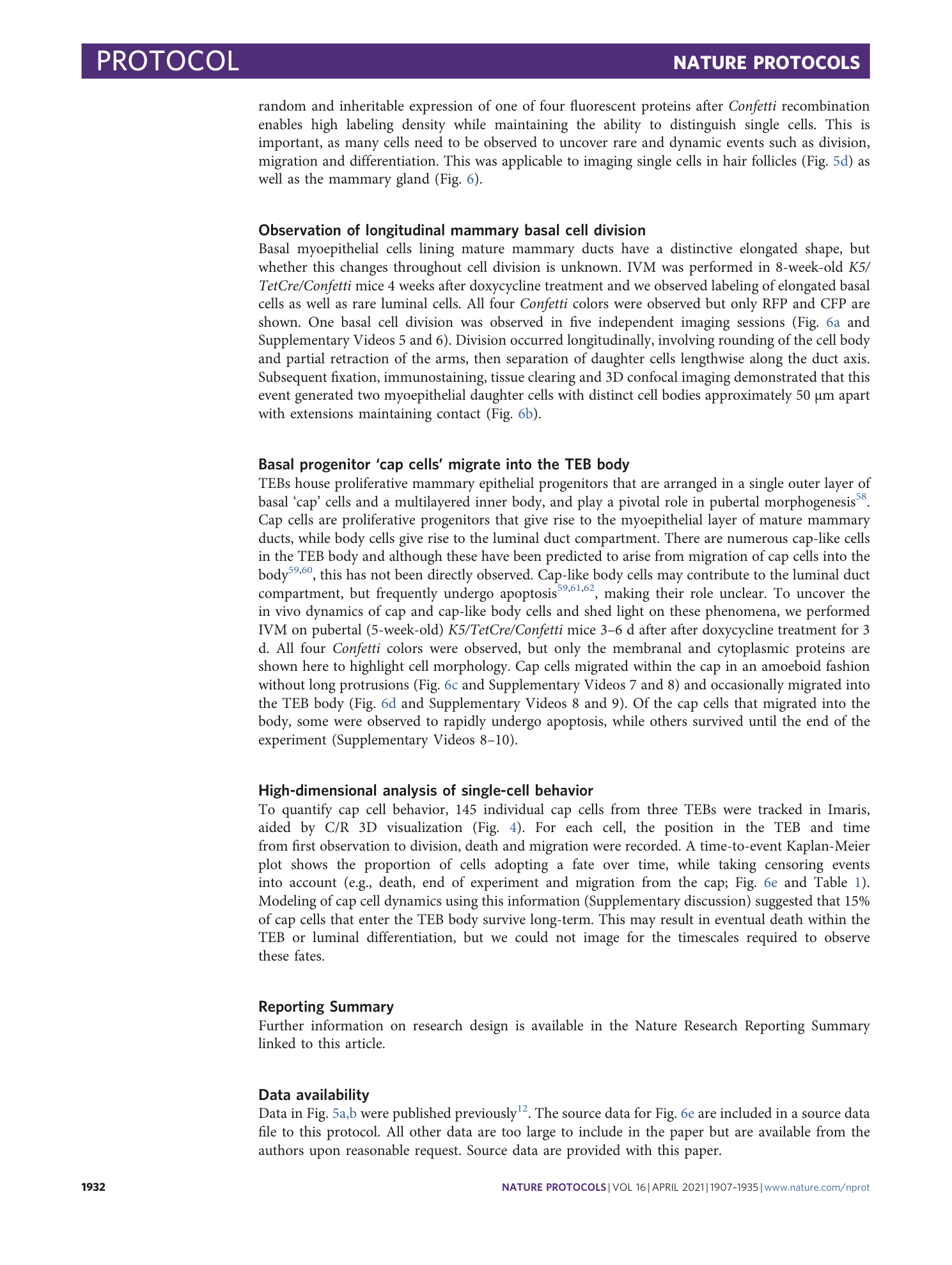 page-26