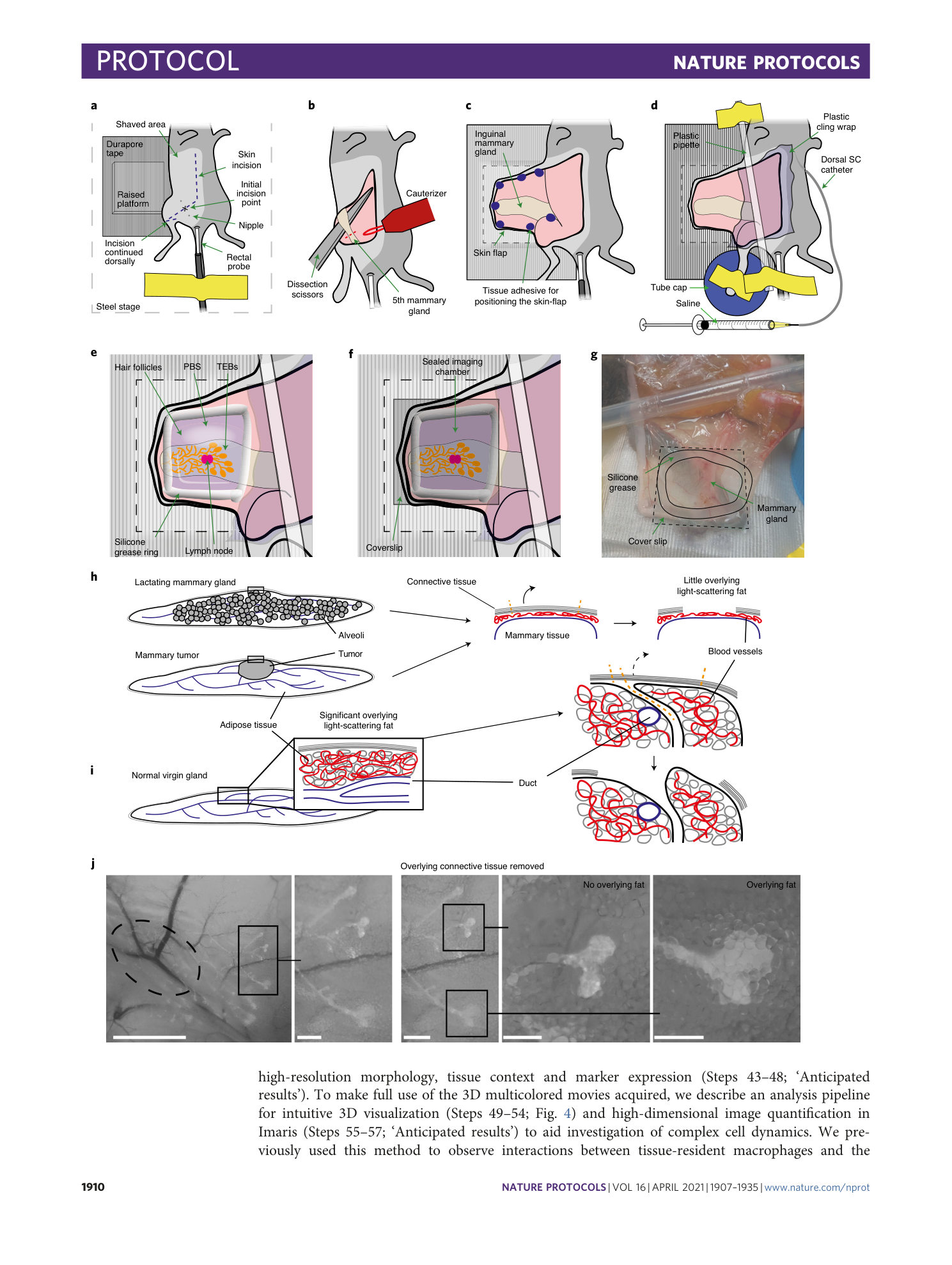 page-4