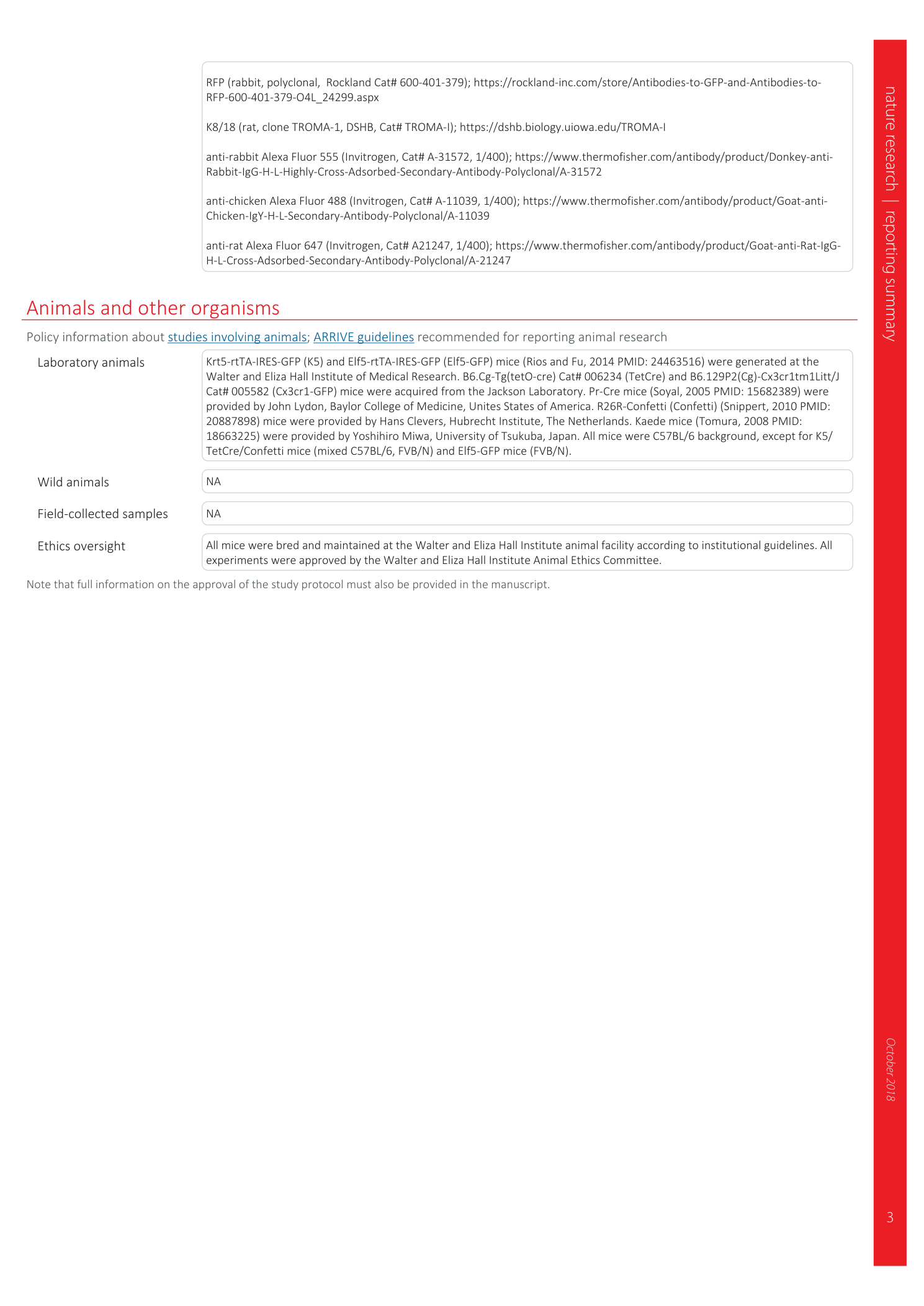 page-32