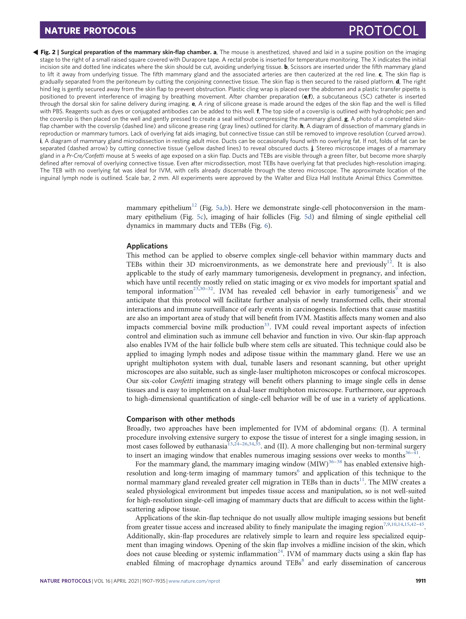 page-5