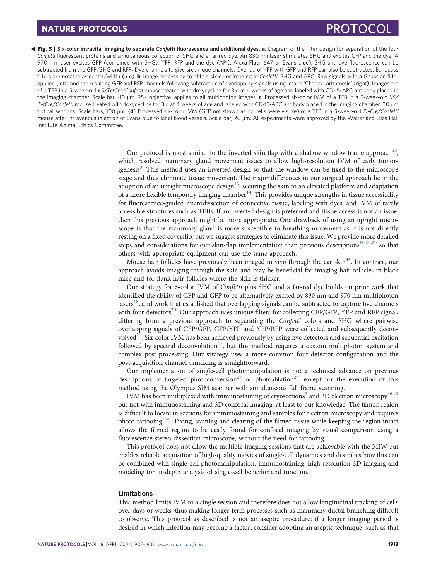 page-7