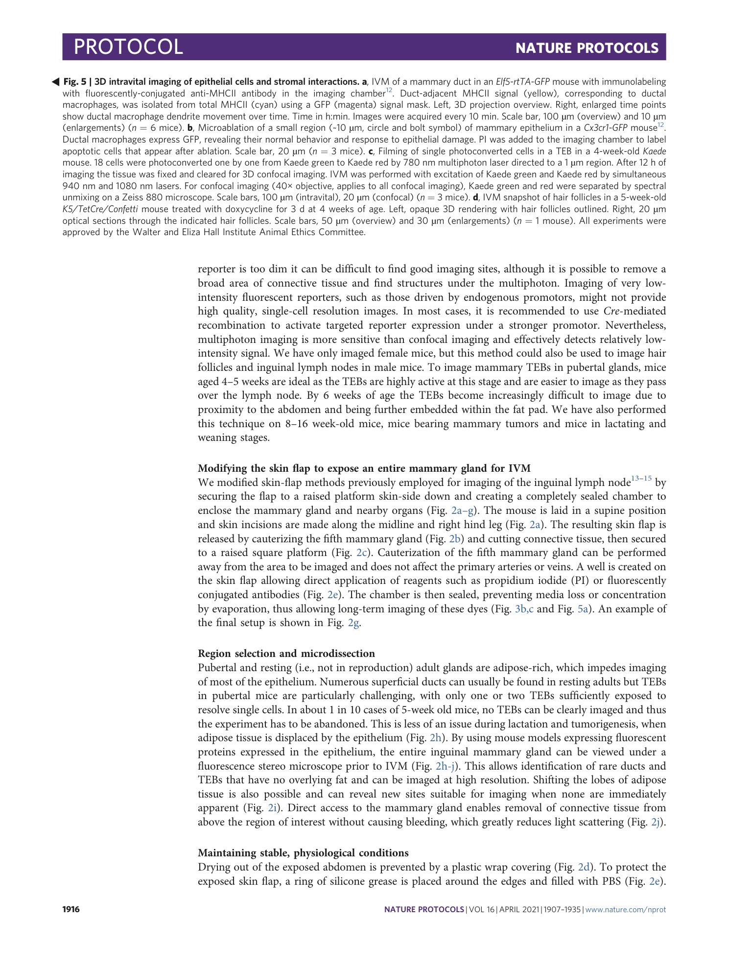 page-10