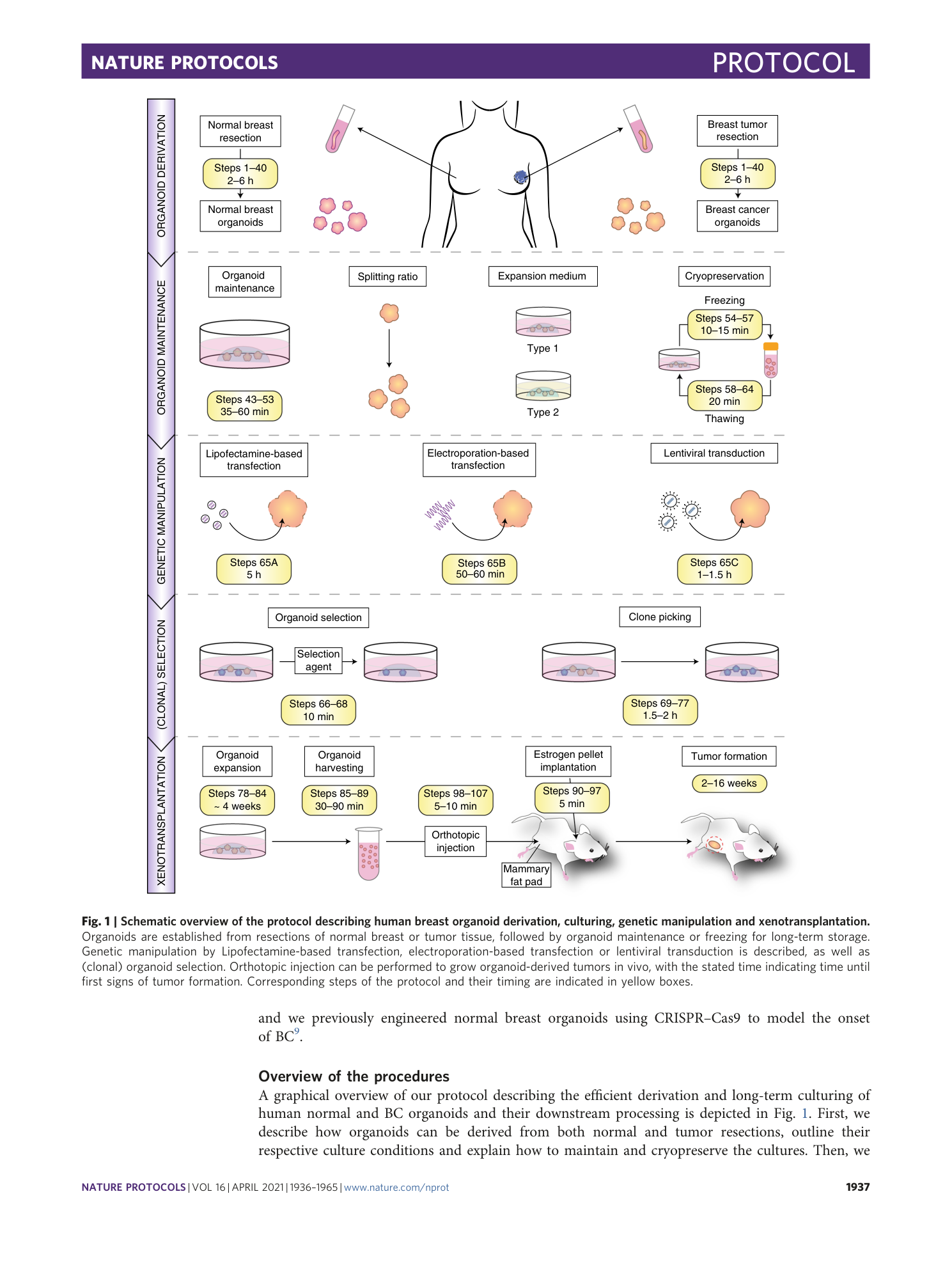 page-2