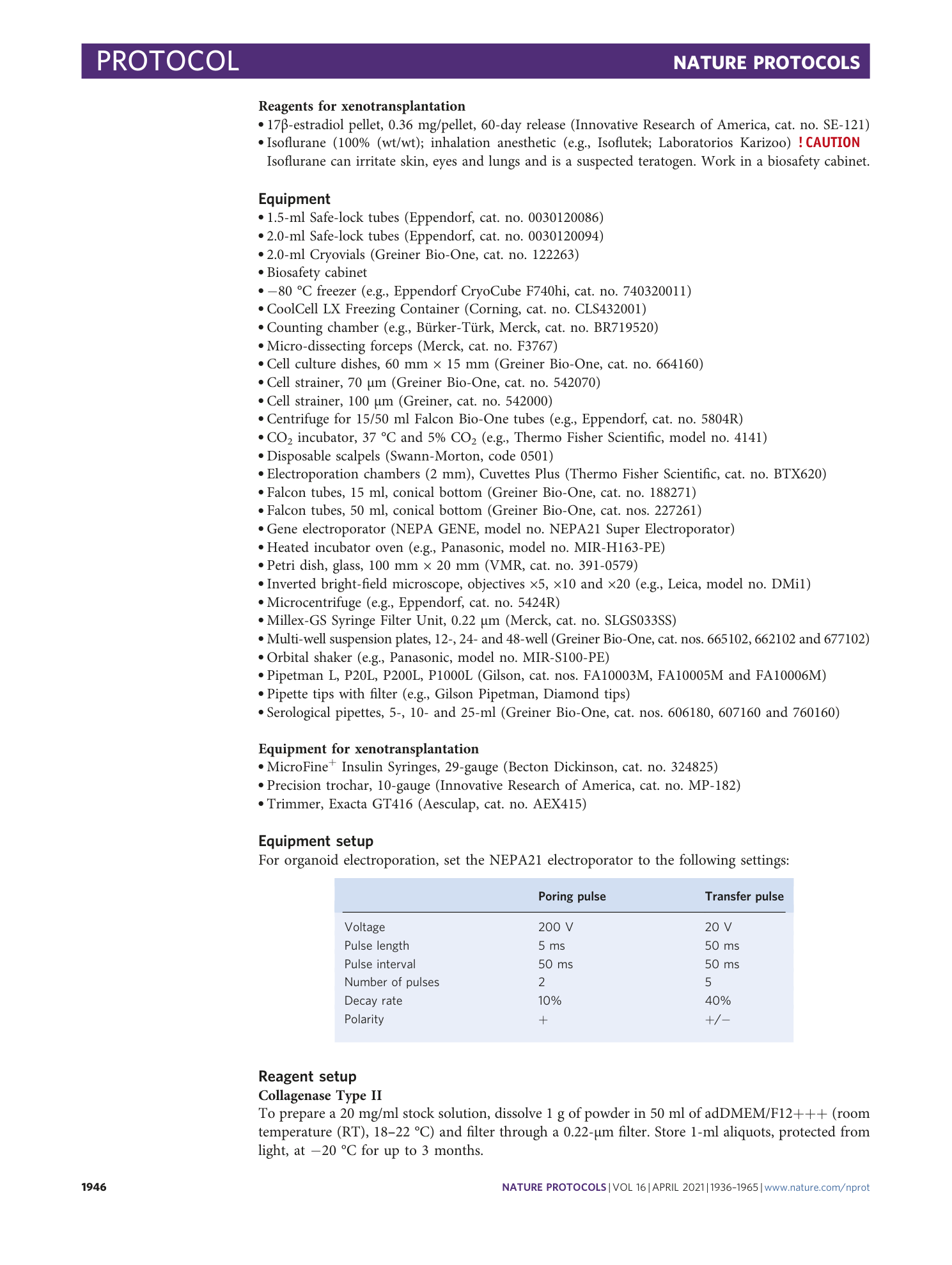 page-11