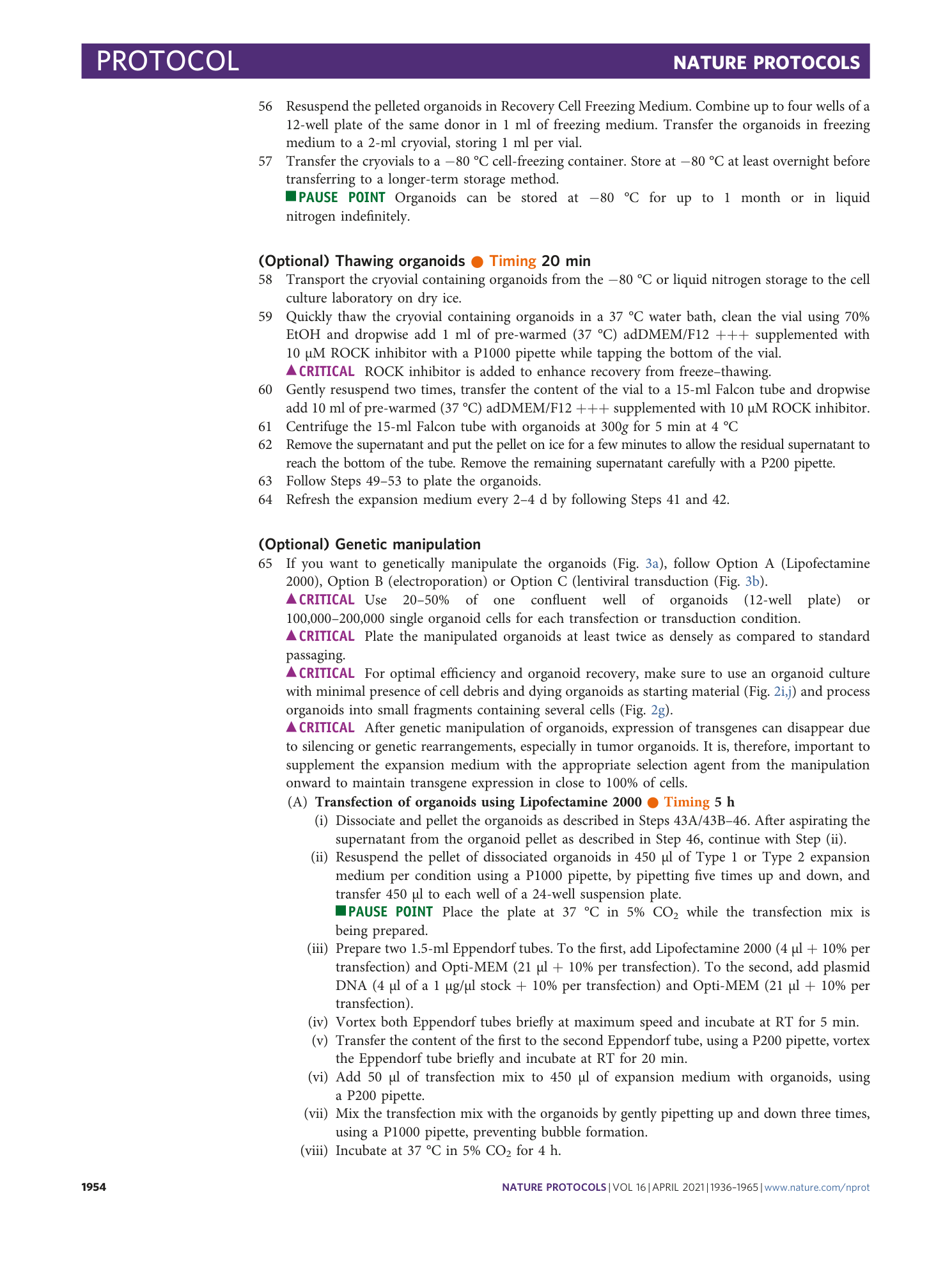 page-19