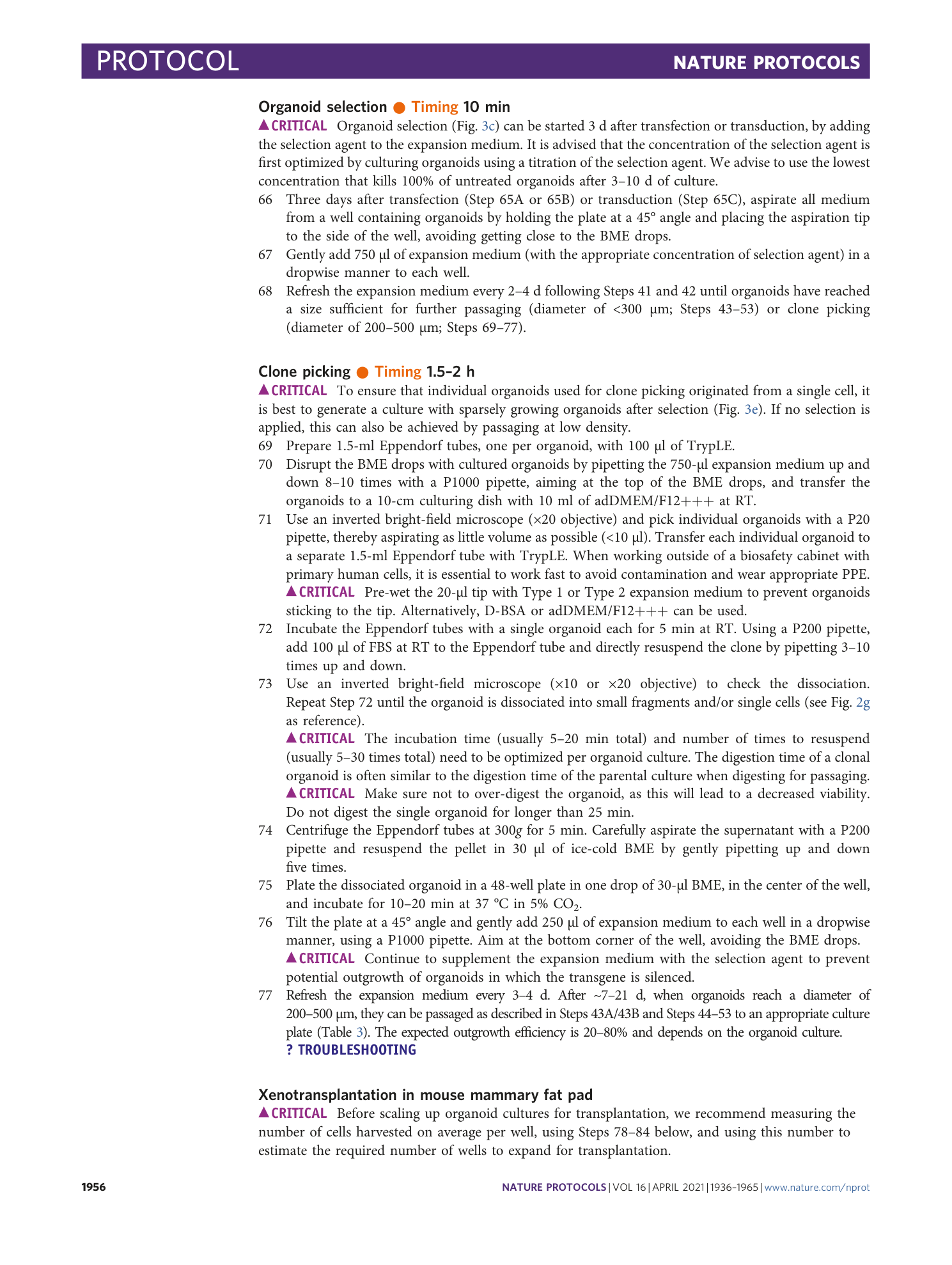 page-21