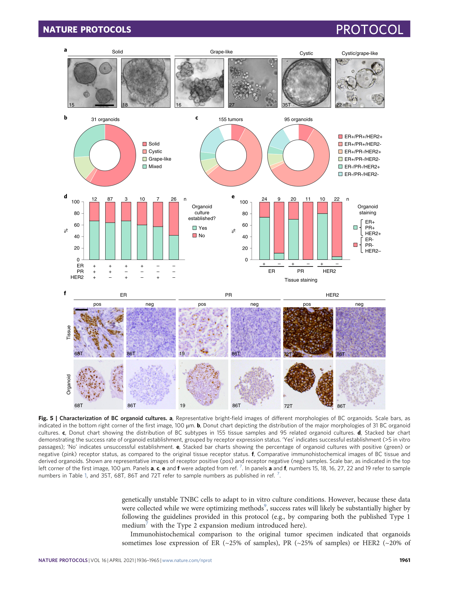 page-26