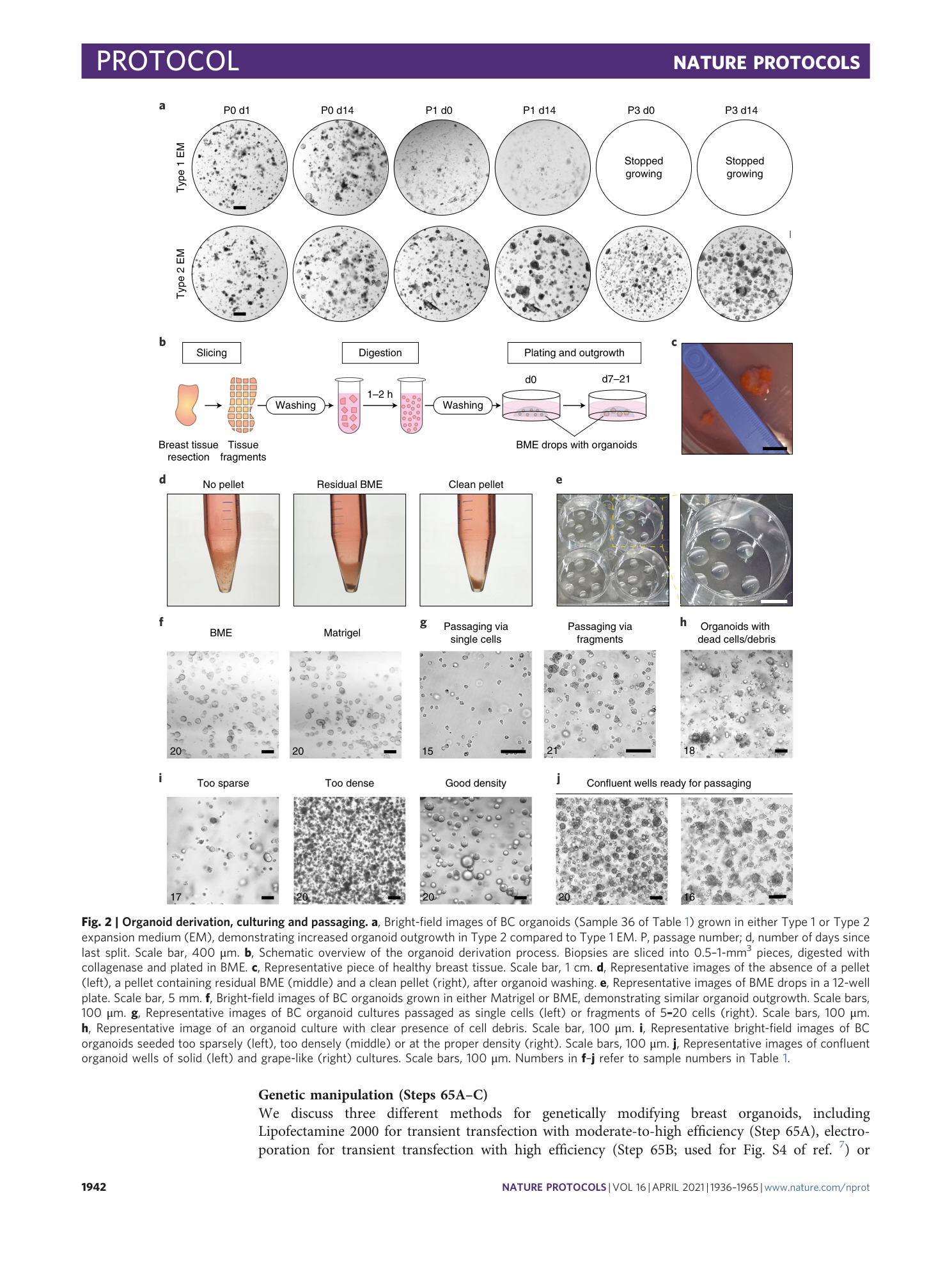 page-7