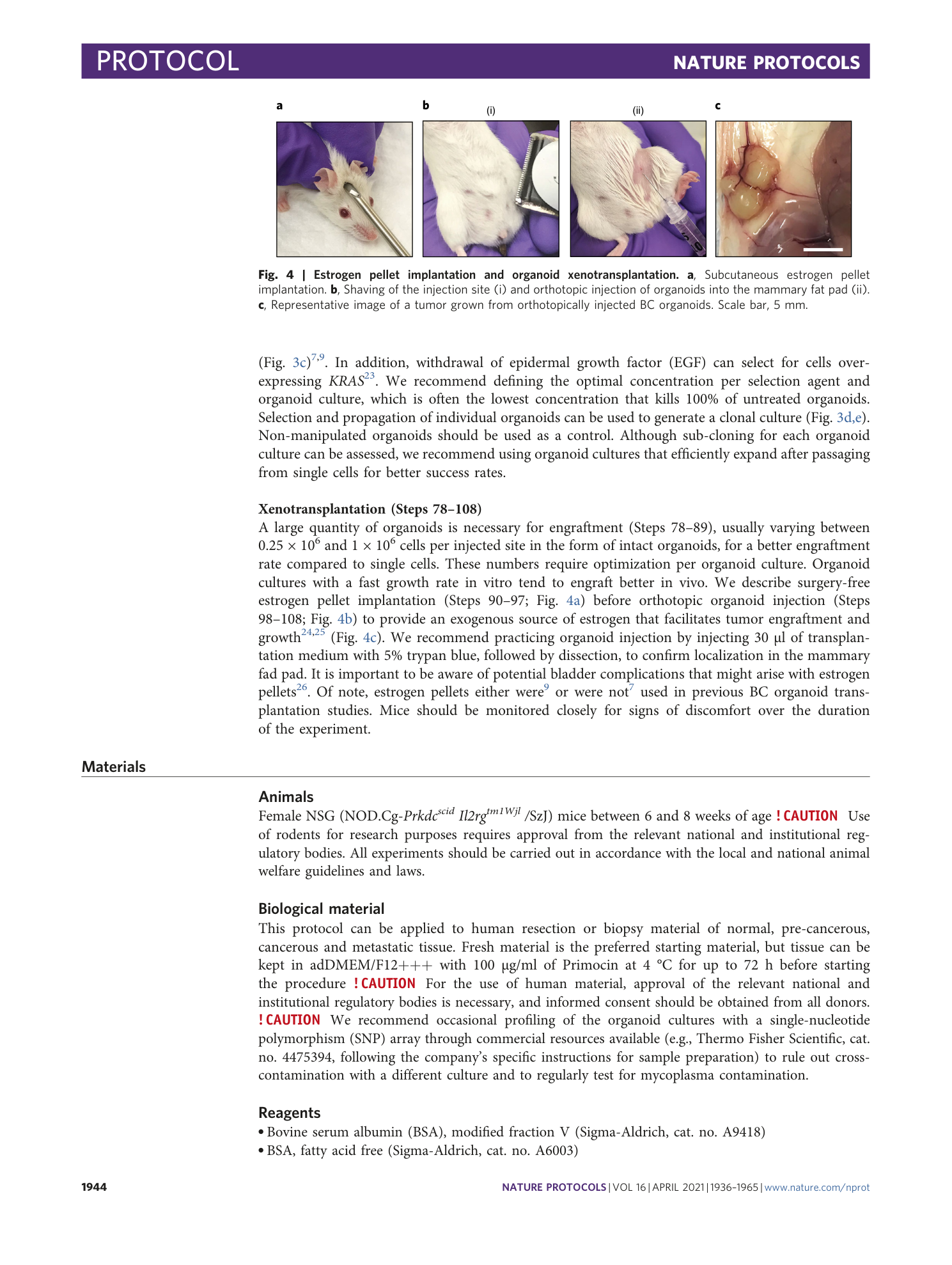 page-9