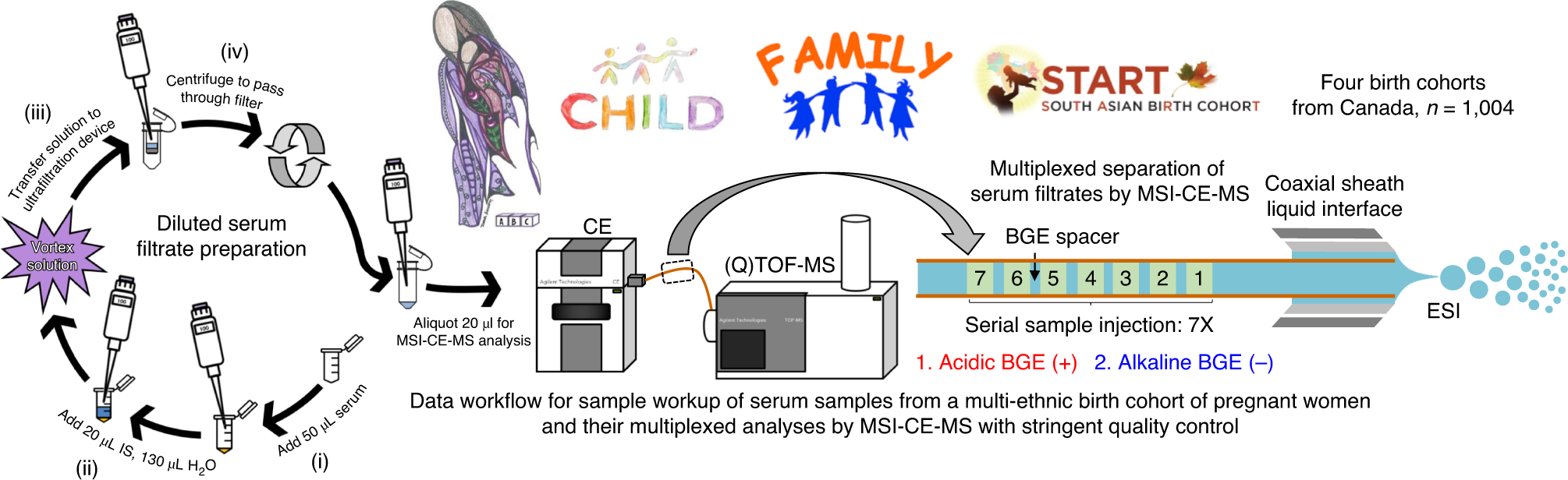 Fig. 1: Data workflow for characterization of the maternal serum metabolome by MSI-CE-MS from a multi-ethnic birth cohort of pregnant women.