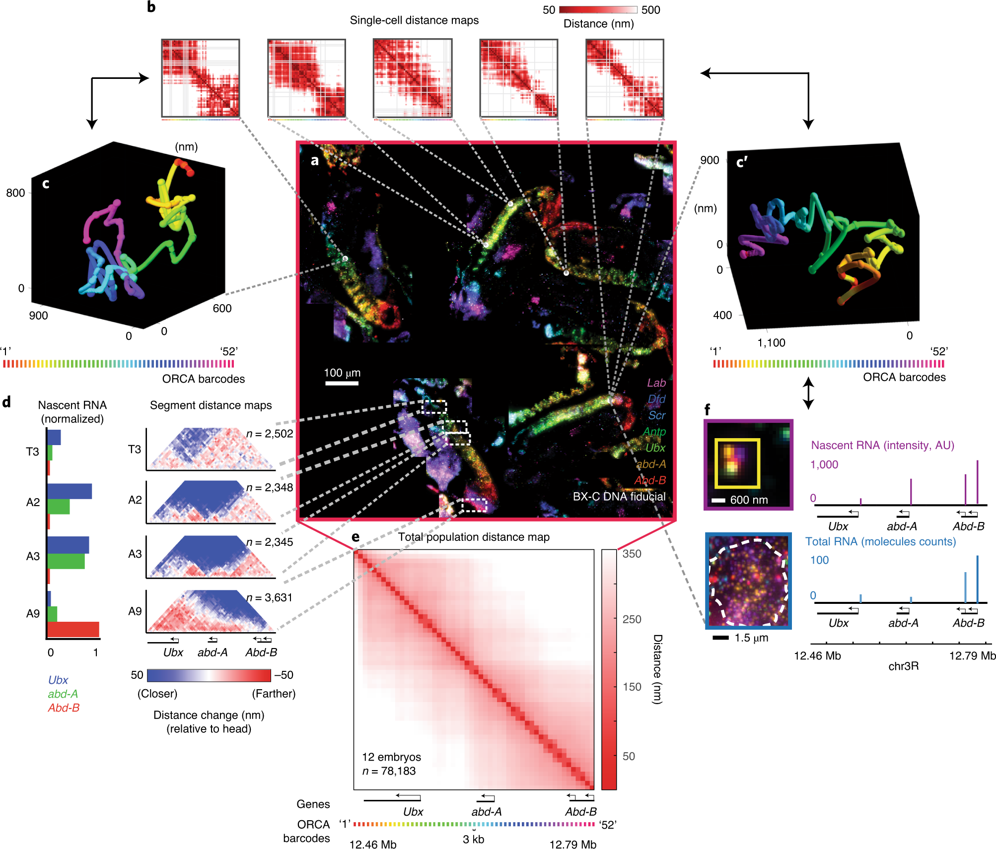Fig. 14: Data generated from a single RNA + ORCA labeling experiment.