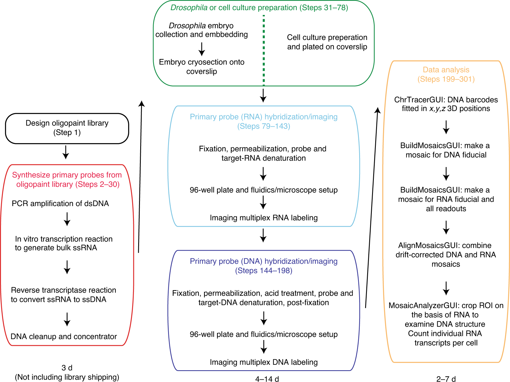 Fig. 2: Schematic overview of ORCA and RNA labeling experimental process and computational analysis.