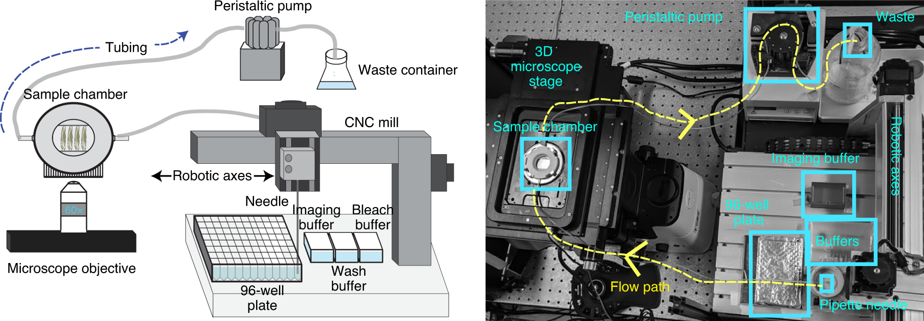 Fig. 4: Fluidics system layout.