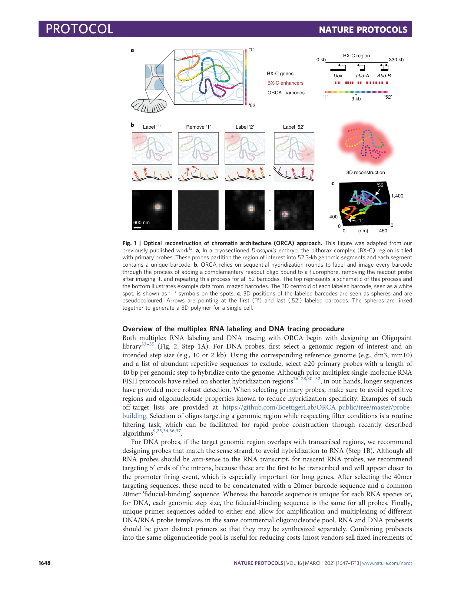 page-2