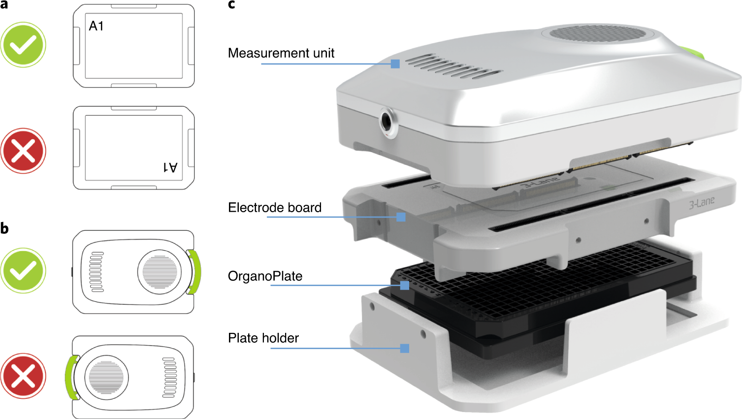 Fig. 6: Overview of correct installation of the OrganoTEER for TEER measurements of cultures in the OrganoPlate.