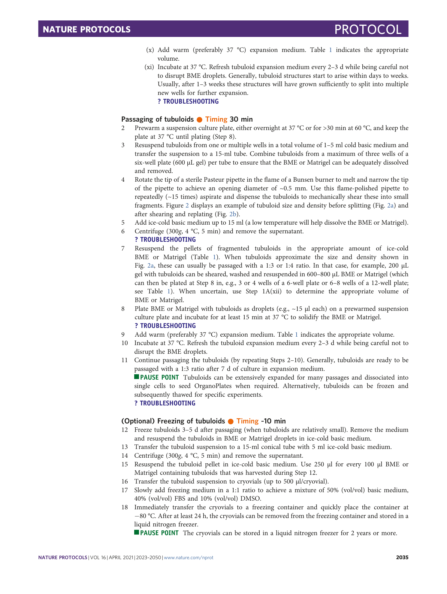 page-13