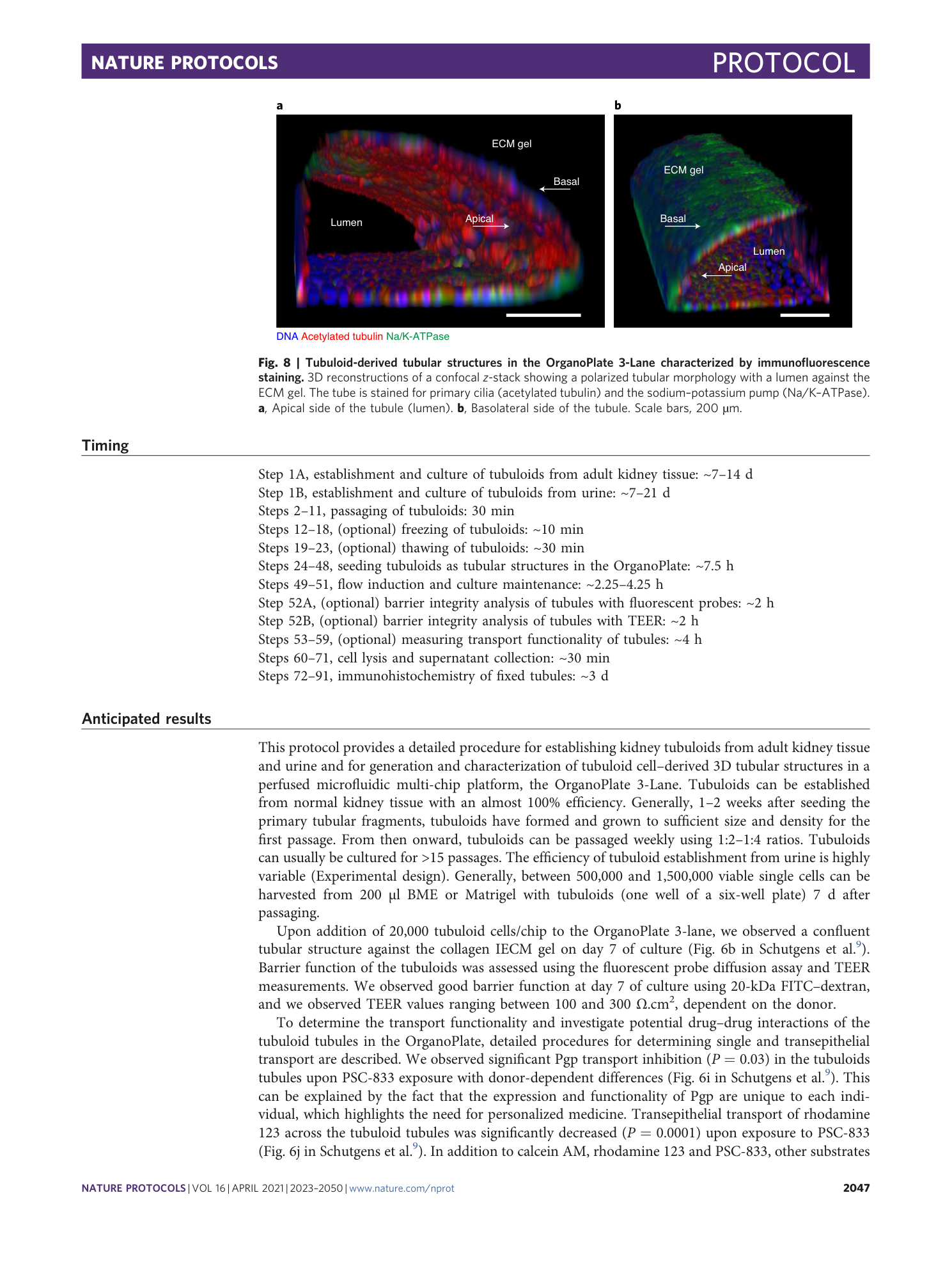 page-25