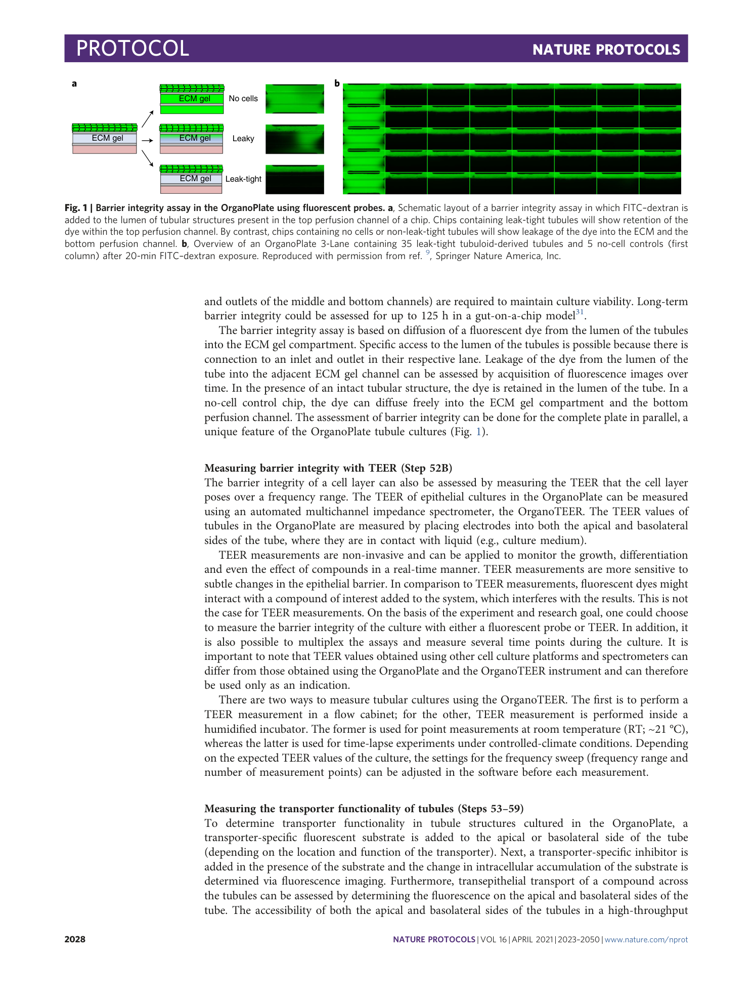 page-6