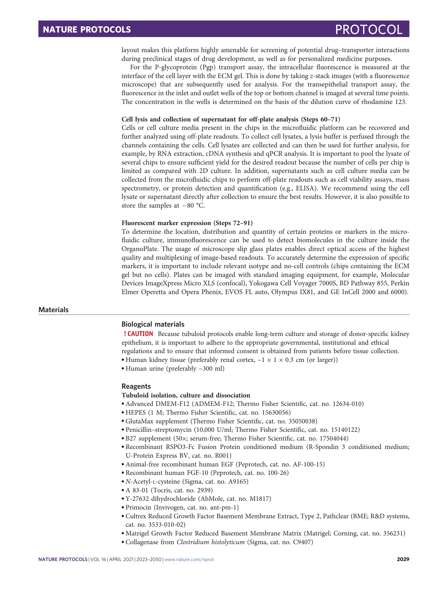 page-7