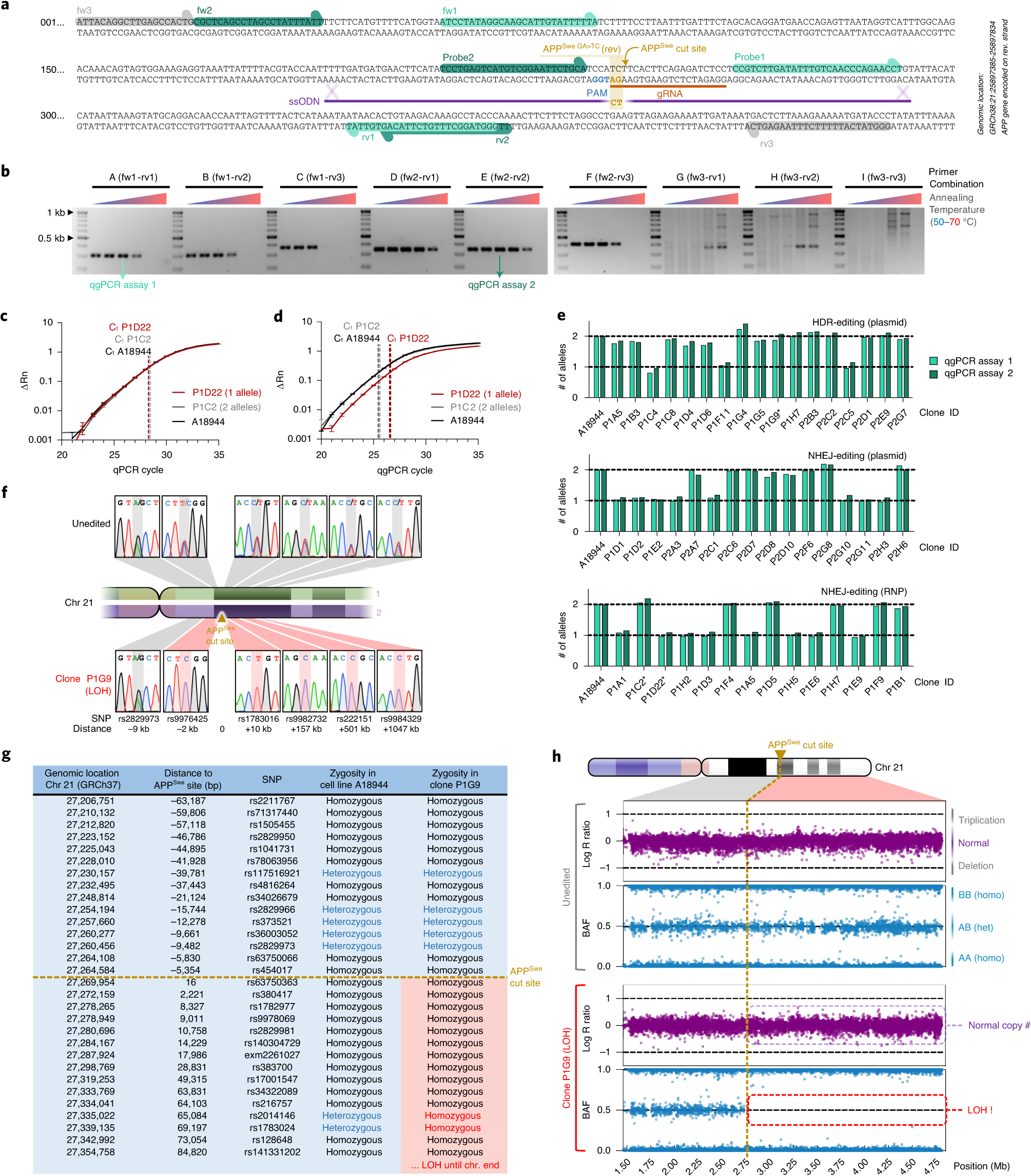 Fig. 3: Anticipated results for OnTE detection—example of CRISPR editing at the APPSwe locus in human iPSCs.